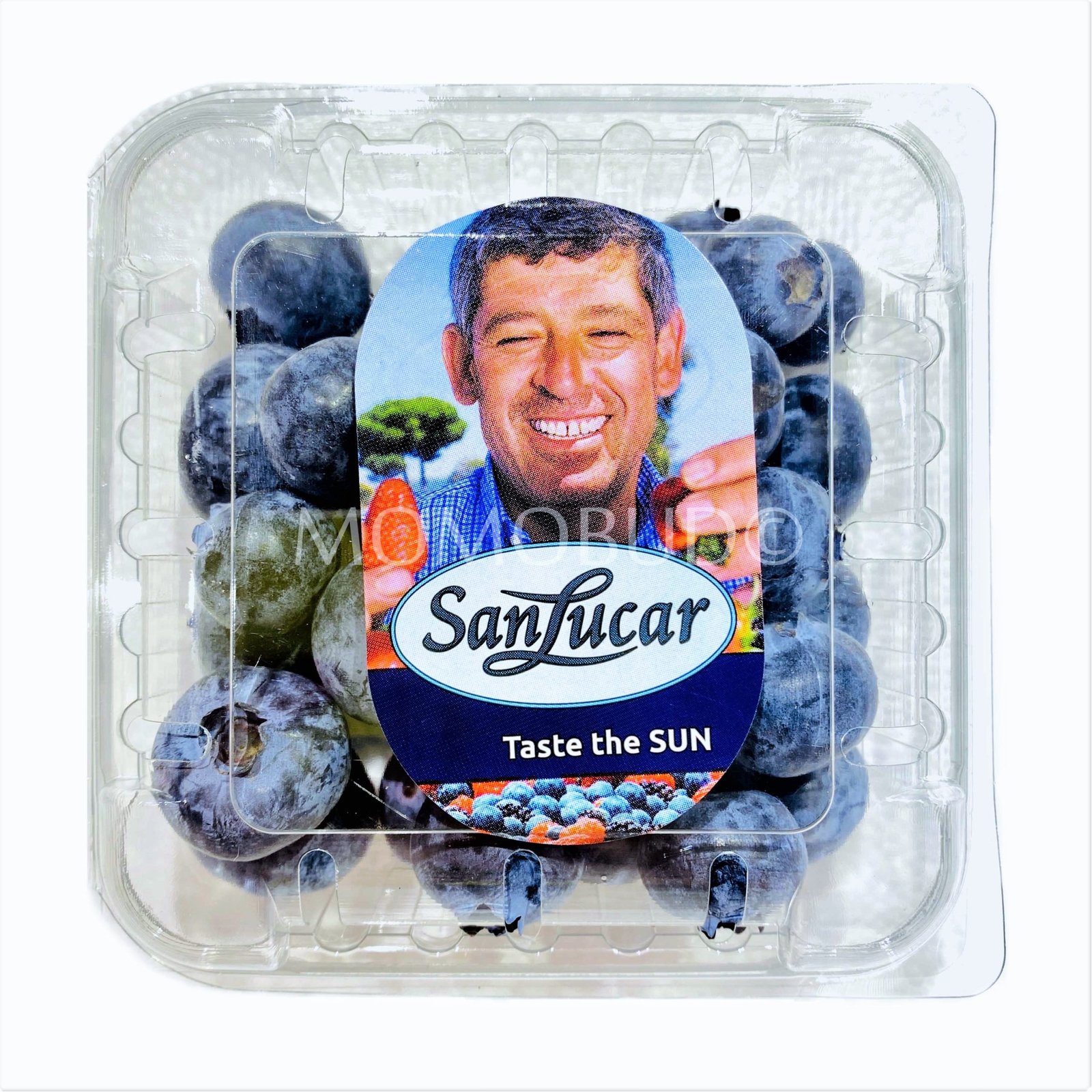 Jumbo Sanlucar Blueberry