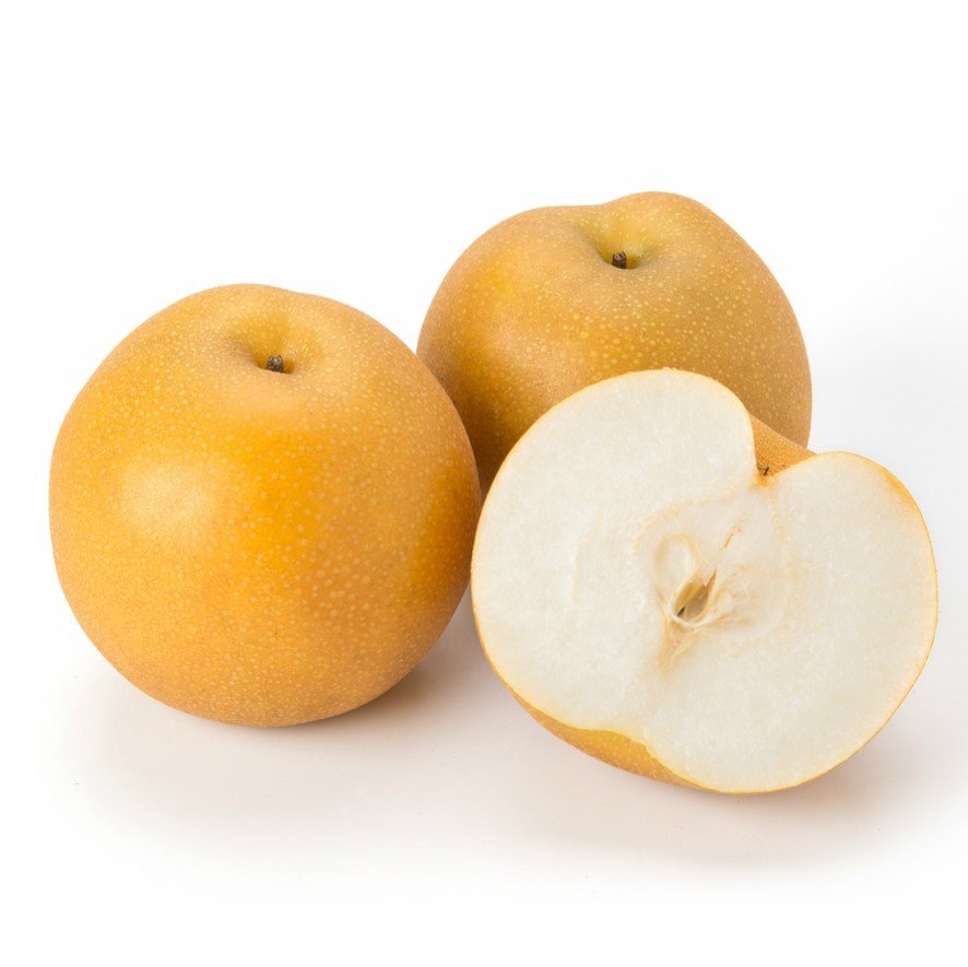 Japanese Premium Taikoban Hosui Pear (Large-Plus)