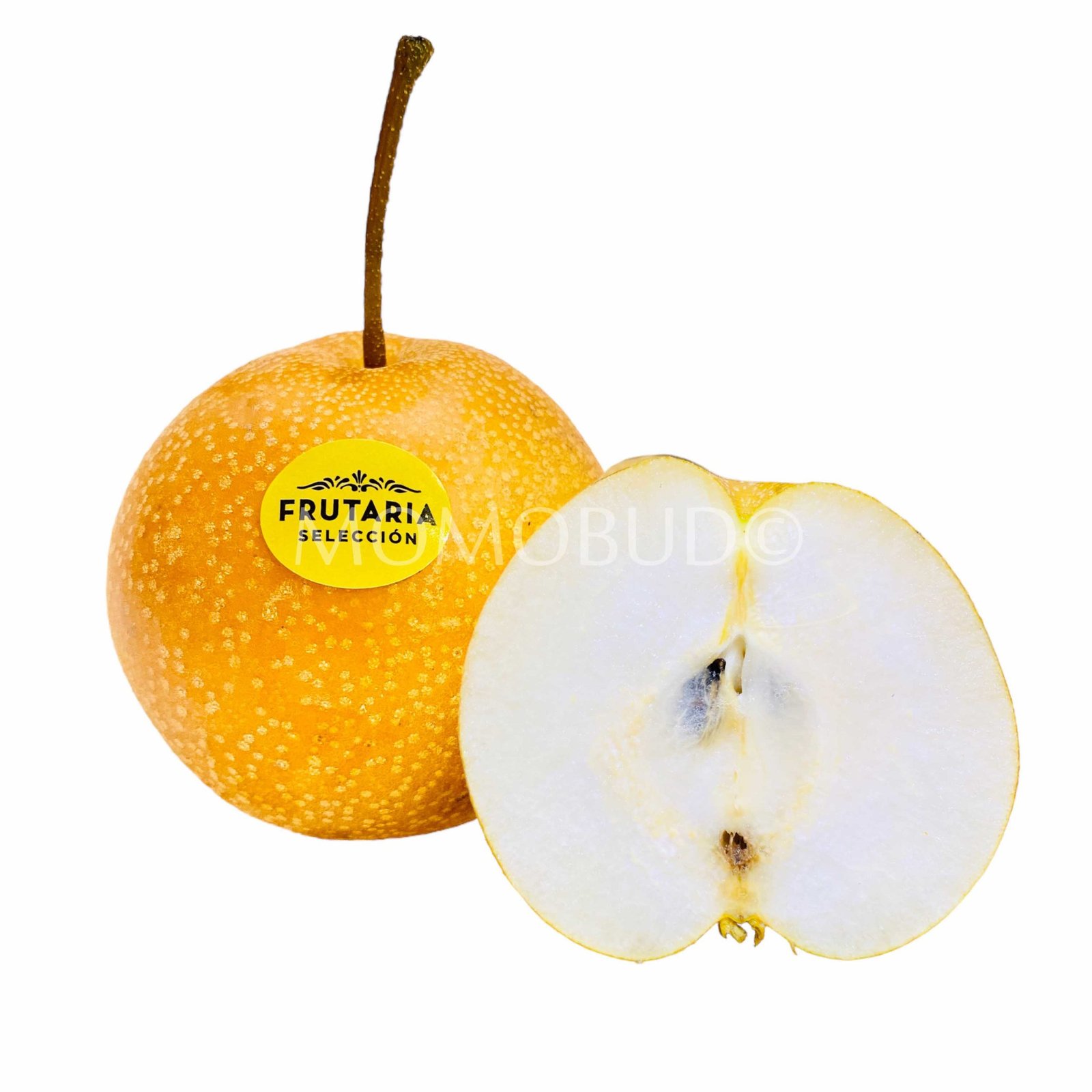 Spain Hosui Pear (Small)