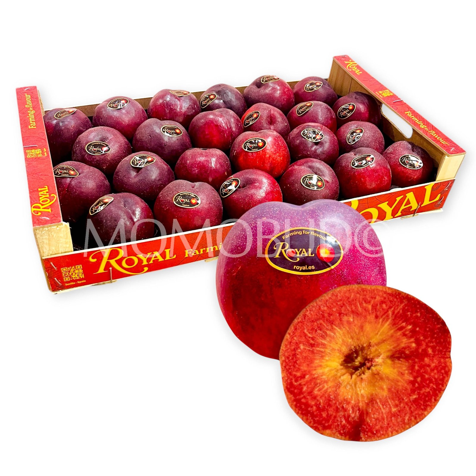 Royal Sanguine© Red Nectarine (Medium)