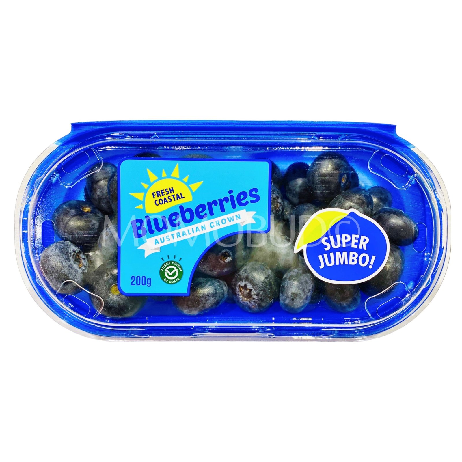 Super Jumbo Fresh Coastal Blueberry (200g)