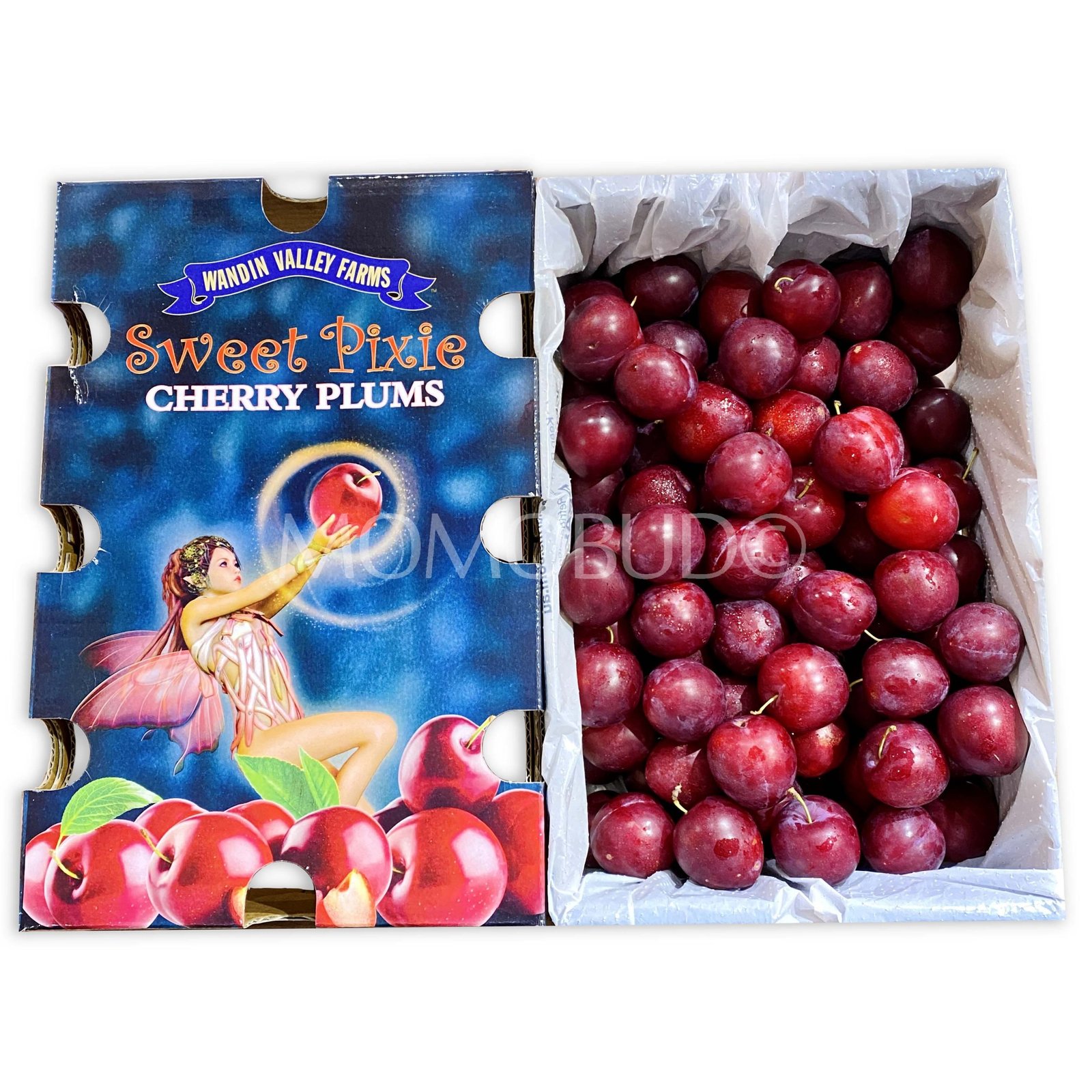 Sweet Pixie® Cherry Plum