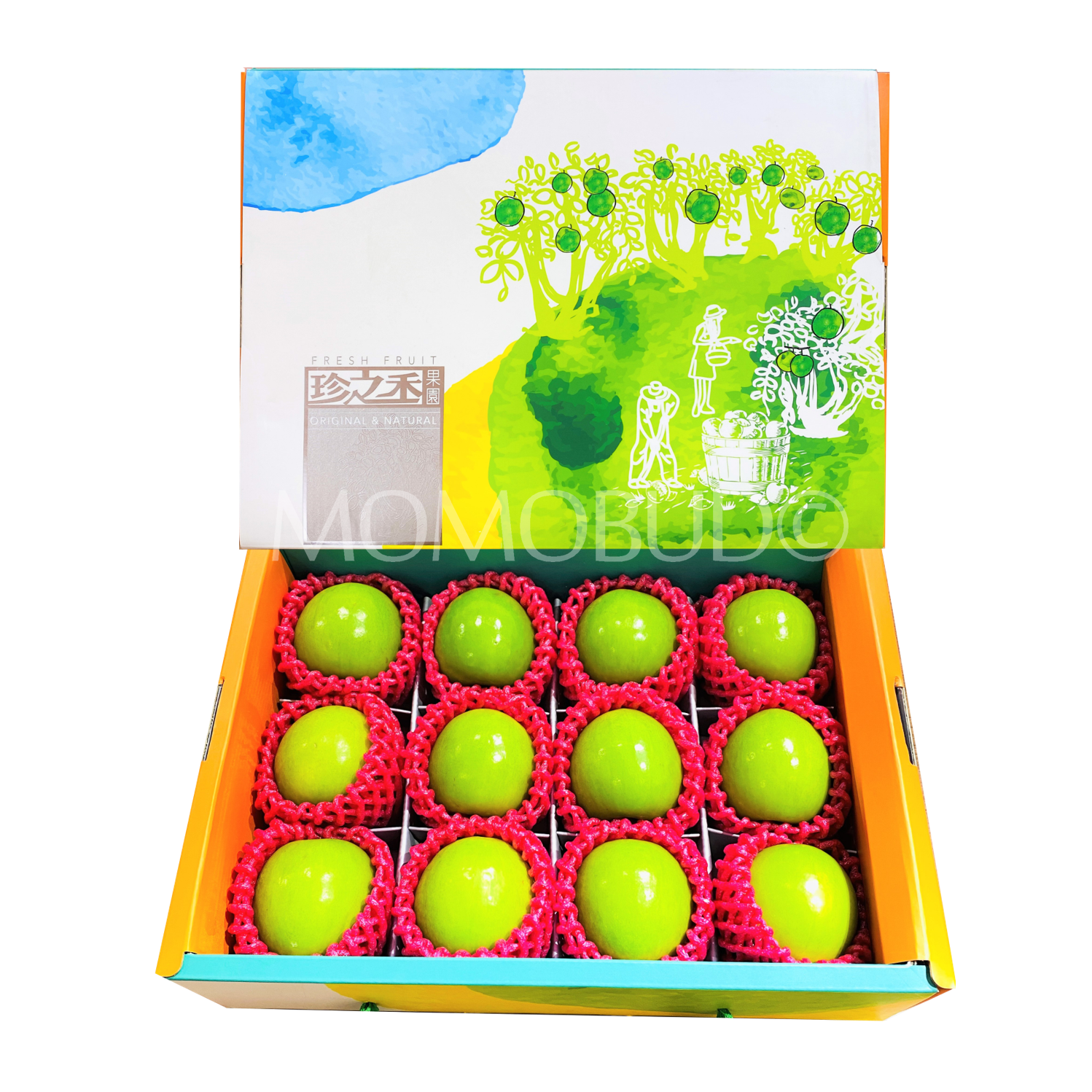 Taiwan Fresh Jujube (Dates) Gift Box