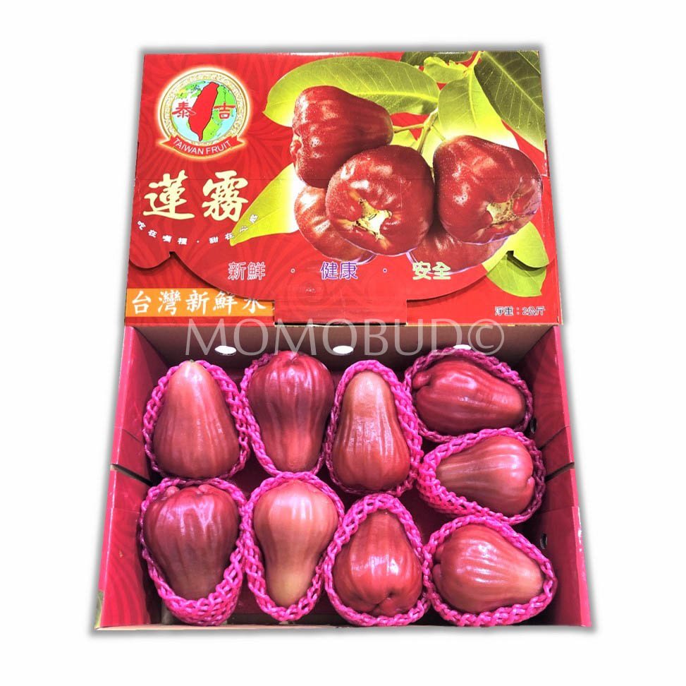 Taiwan Water Rose Apple (Jambu) Gift Set