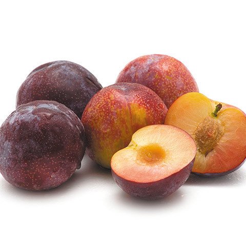 Teagan Blue Plum (900g-1kg approx, 6pcs)