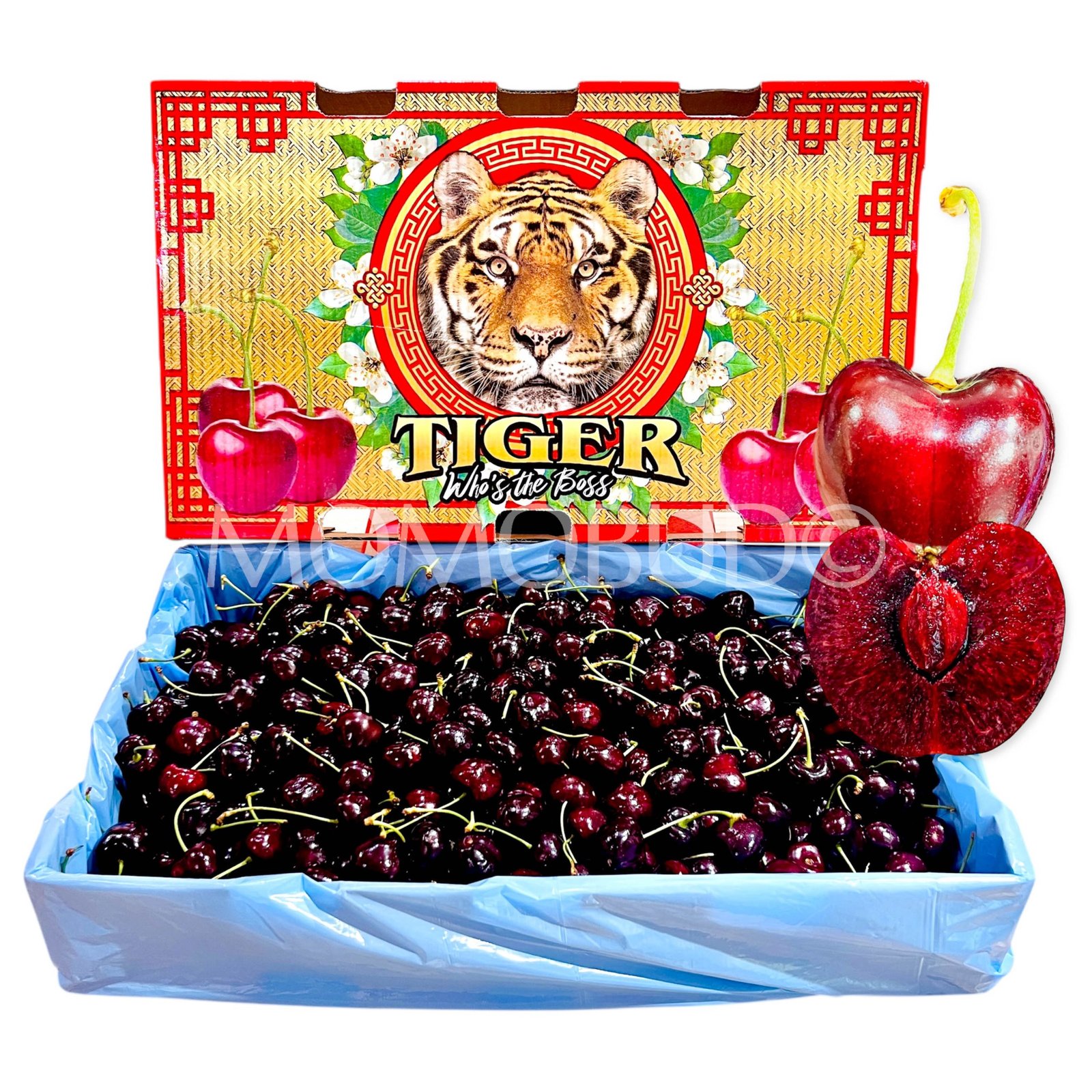 Washington Santina Red Cherry