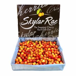 Washington Skylar Rae® Cherry
