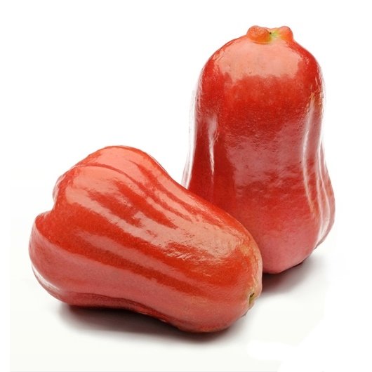 Taiwan Jumbo Water Rose Apple (Jambu, 5pcs)