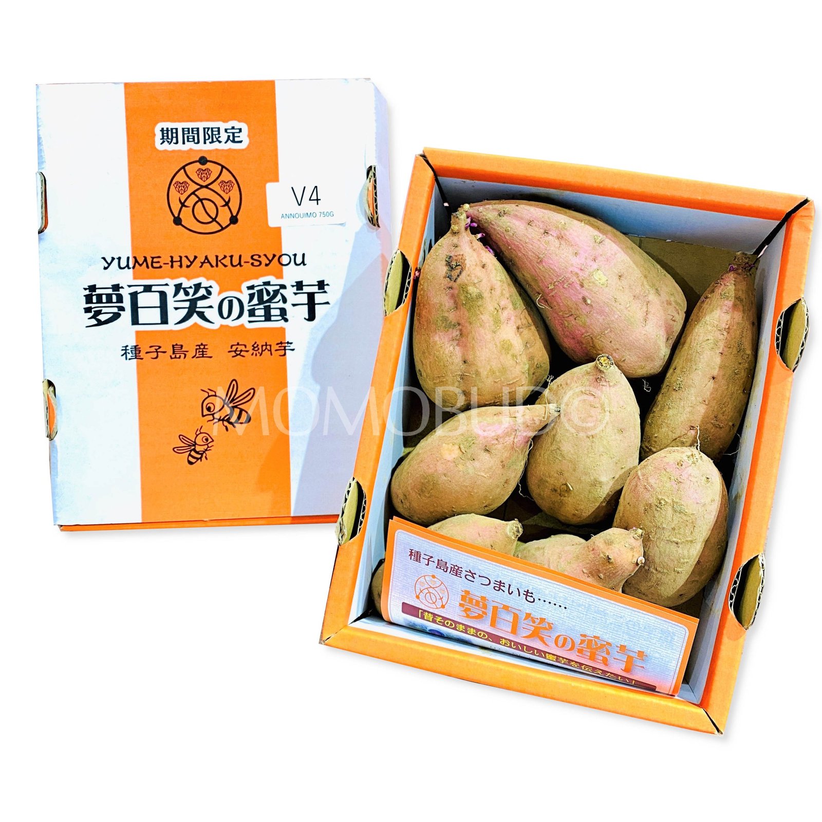 Japanese Kobo no Megumi Annou Golden Satsumaimo Gift Box (Sweet Potato)