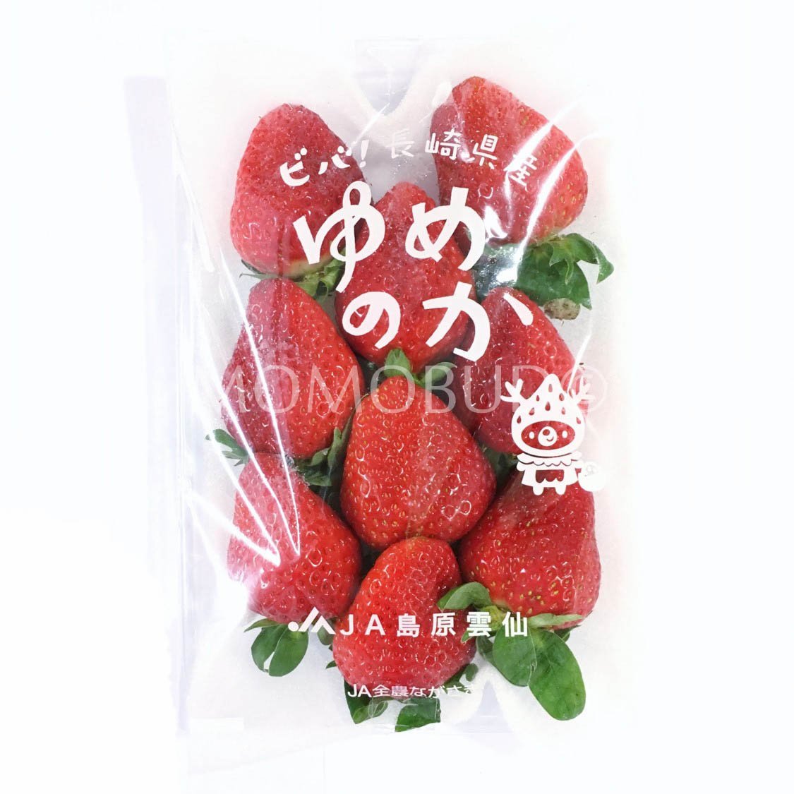 Japanese Yumenoka Ichigo (Strawberry)