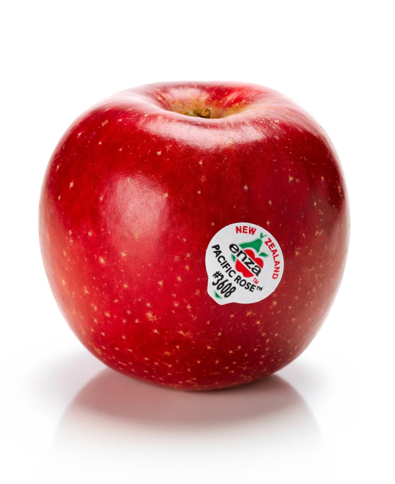 Pacific Rose Apple
