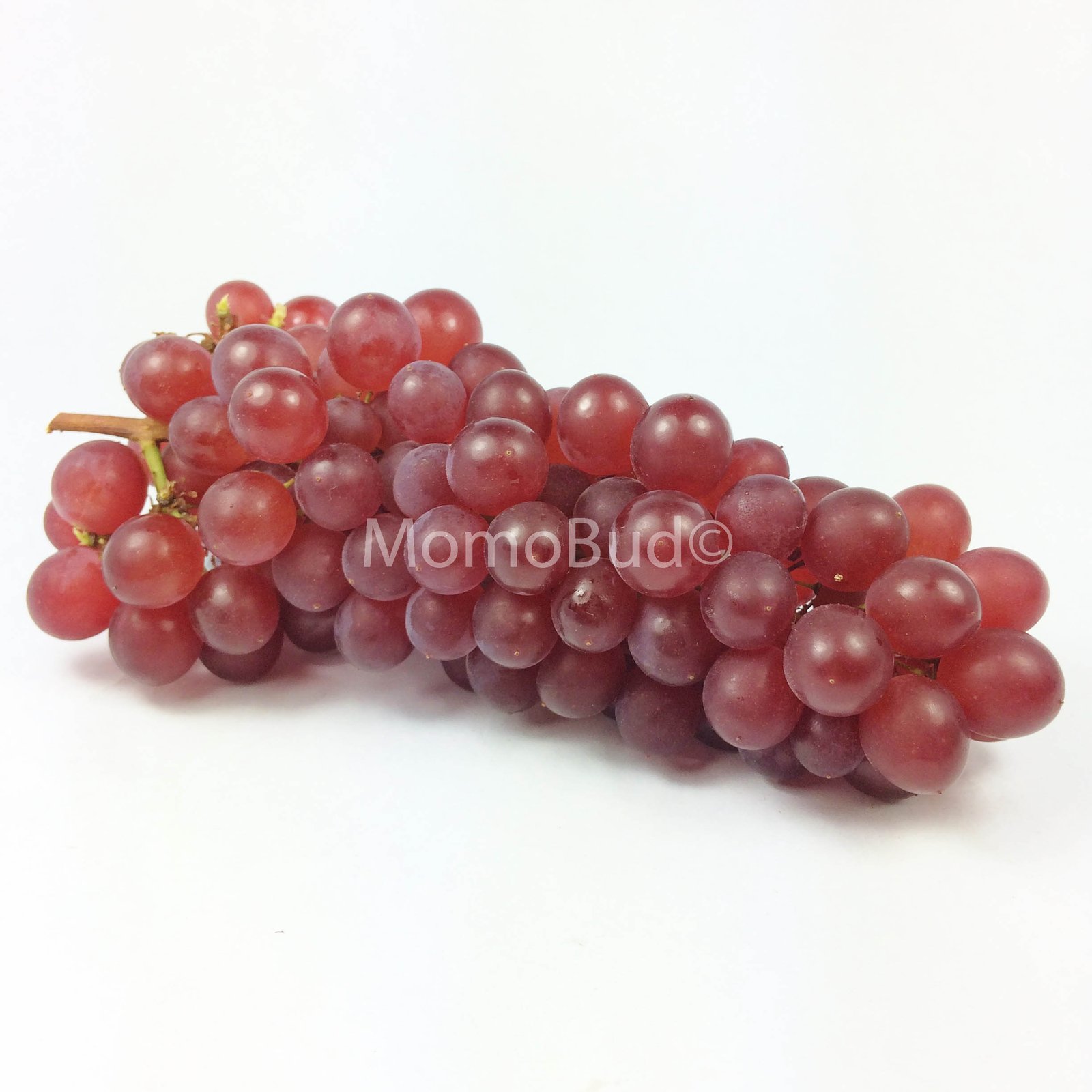 Japanese Delaware (Champagne) Grapes