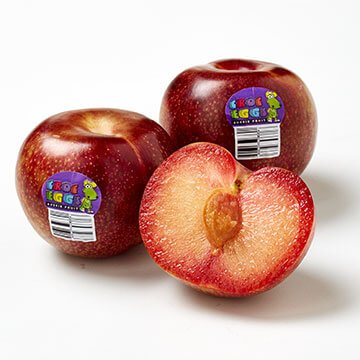 Croc Egg® Red Autumn Plum (Medium, 4pcs)