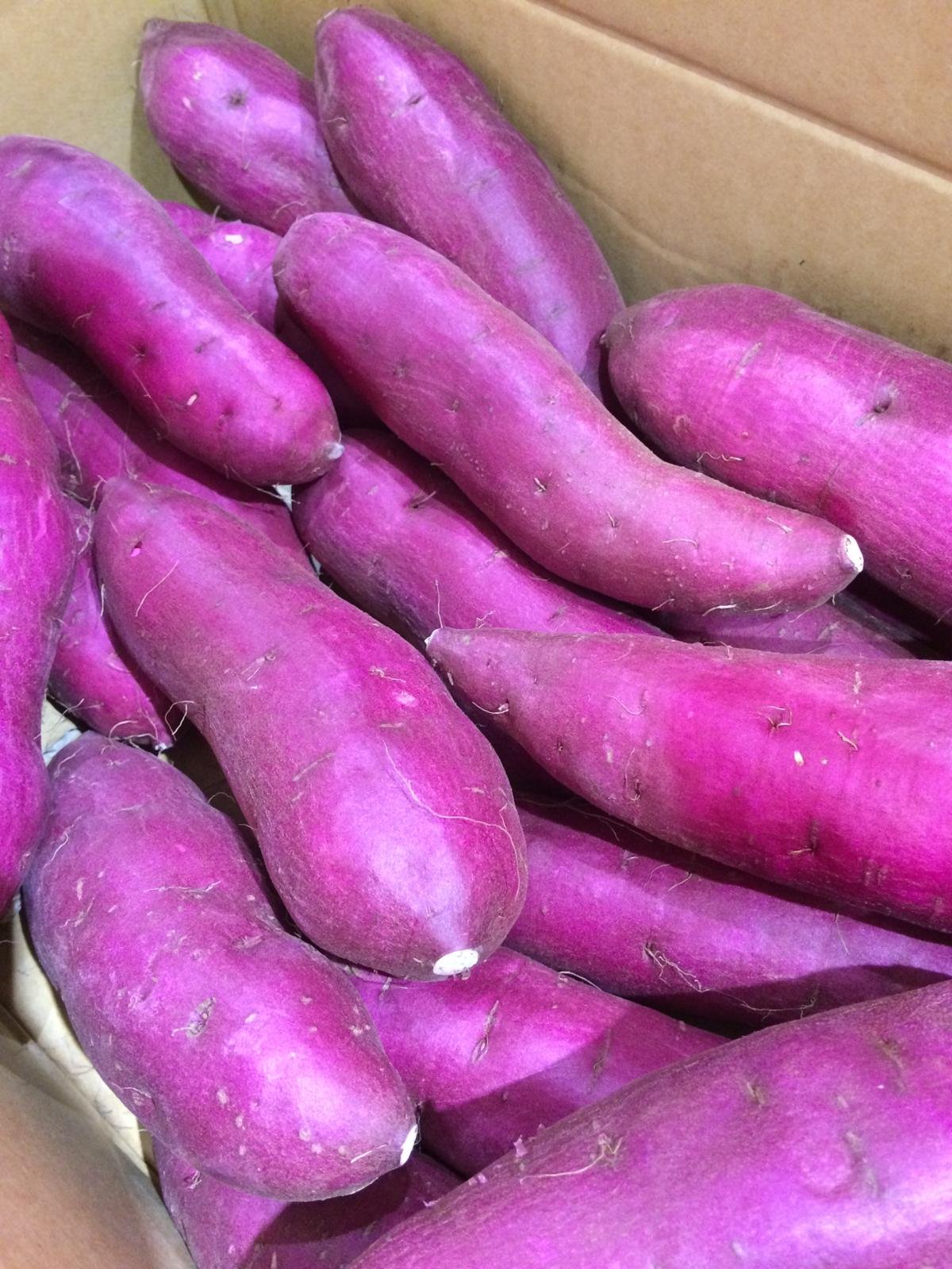Japanese Fuku Murasaki Purple Satsumaimo (Sweet Potato) - Image 3
