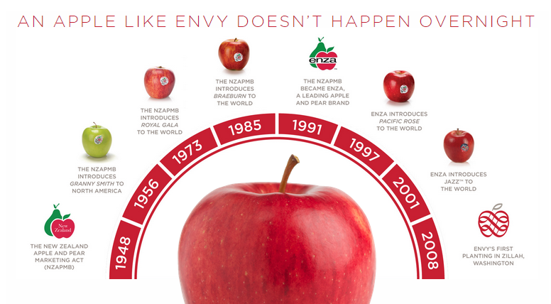 Envy Apple - Image 6