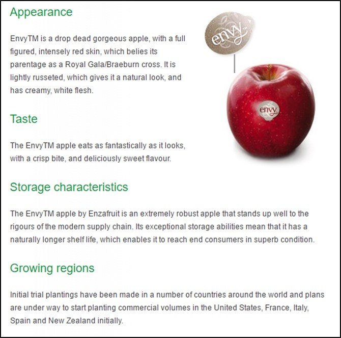 Envy Apple - Image 5