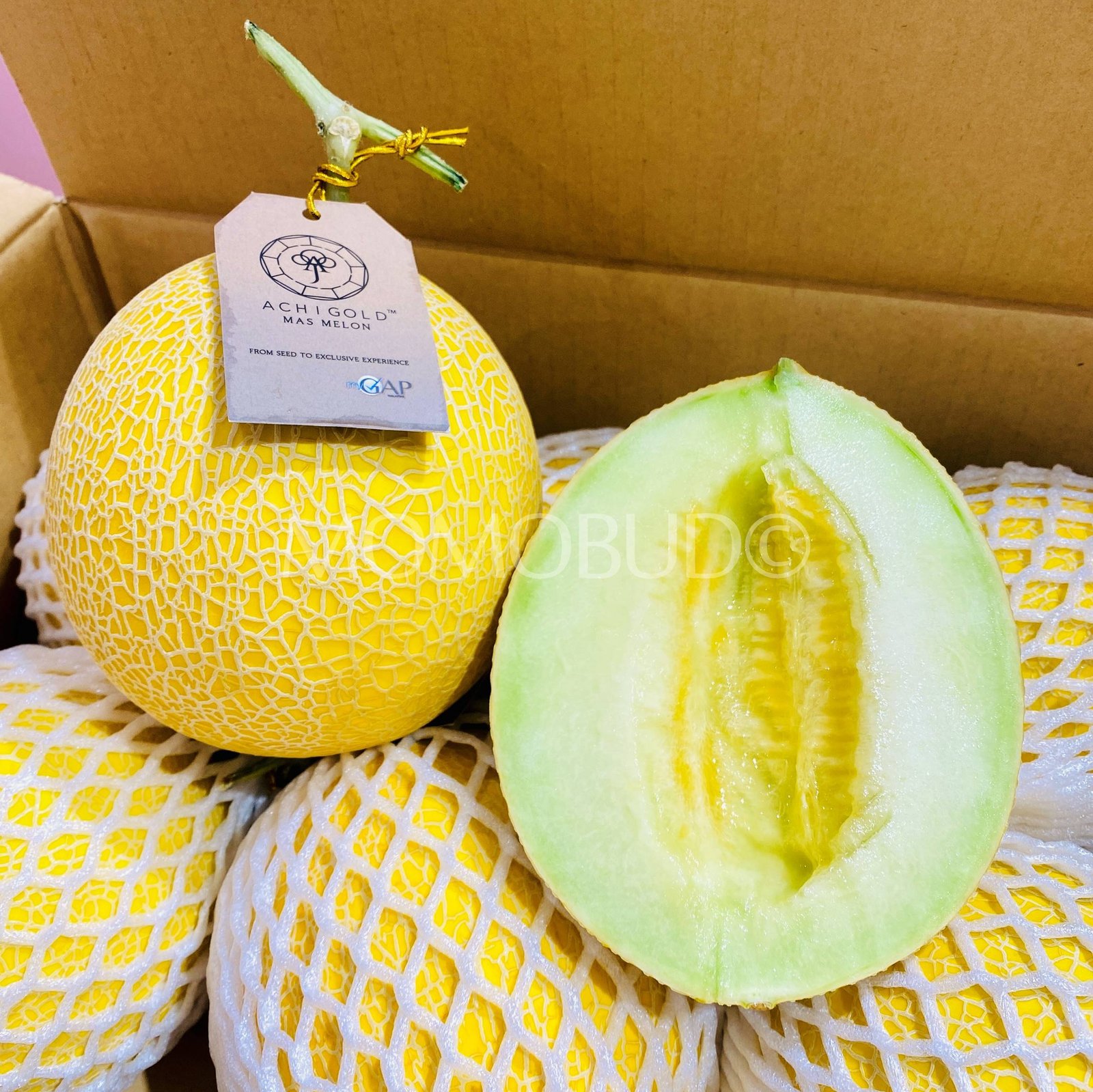Achigold Mas Melon (Large-Plus, 1.6-1.7kg approx) - Image 2