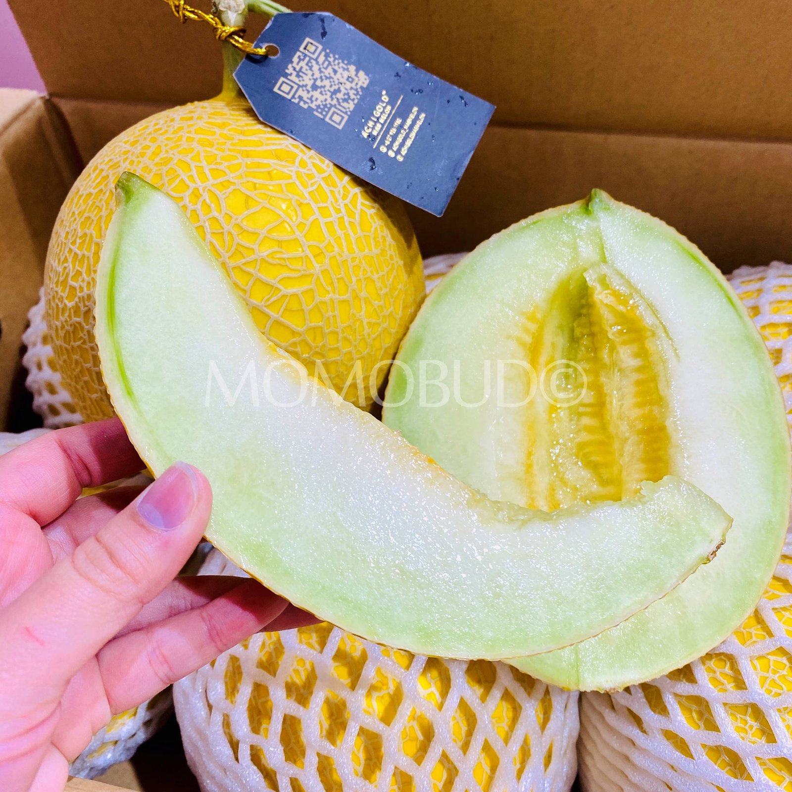 Achigold Mas Melon (Large-Plus, 1.6-1.7kg approx) - Image 3