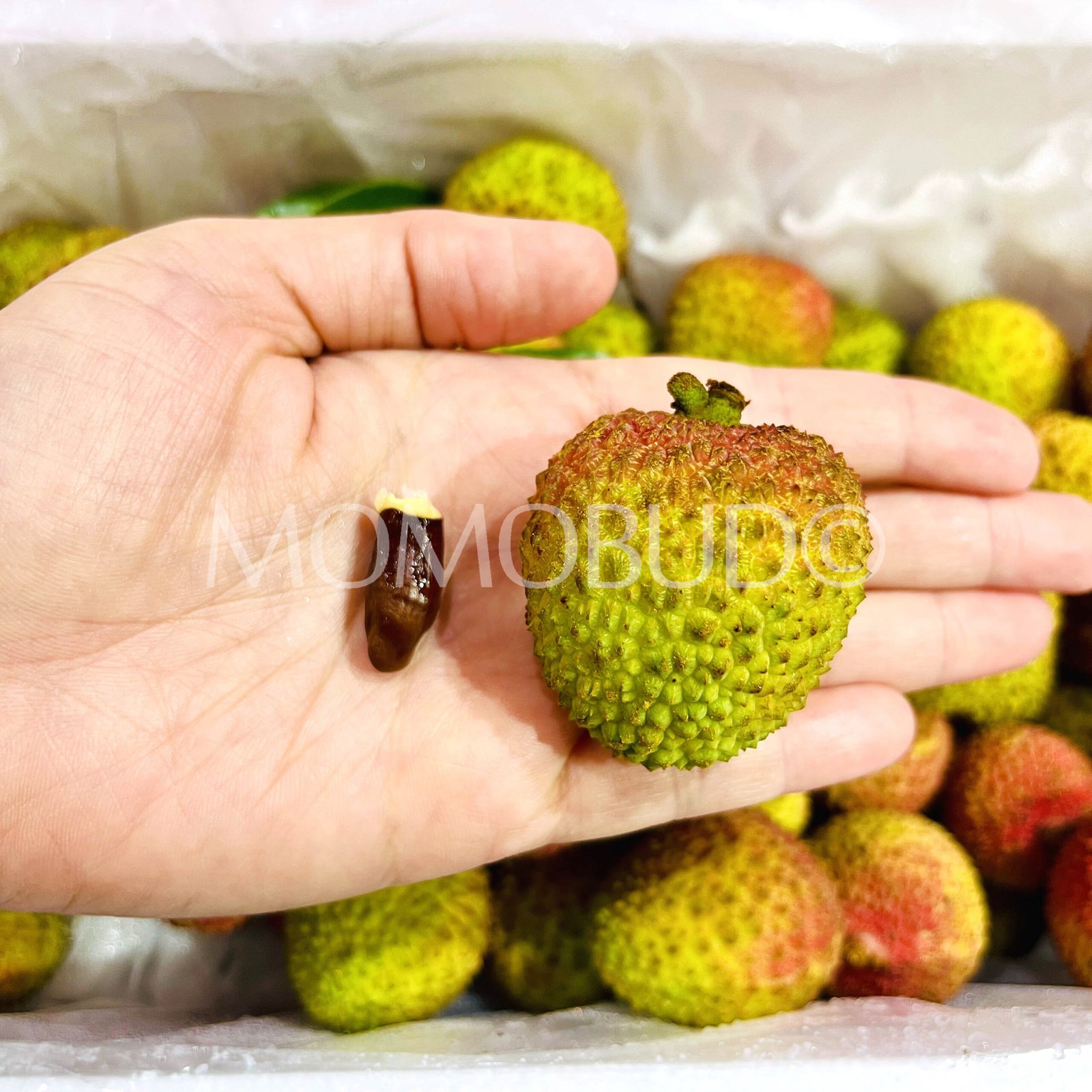 Airflown Premium China Hainan Fei Zi Xiao Lychee Box (1.4kg approx) - Image 6