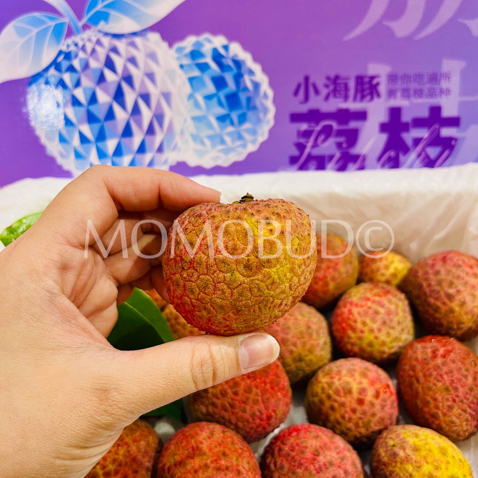 Airflown Premium China Little Dolphin Lychee King Box (1.3kg approx) - Image 4