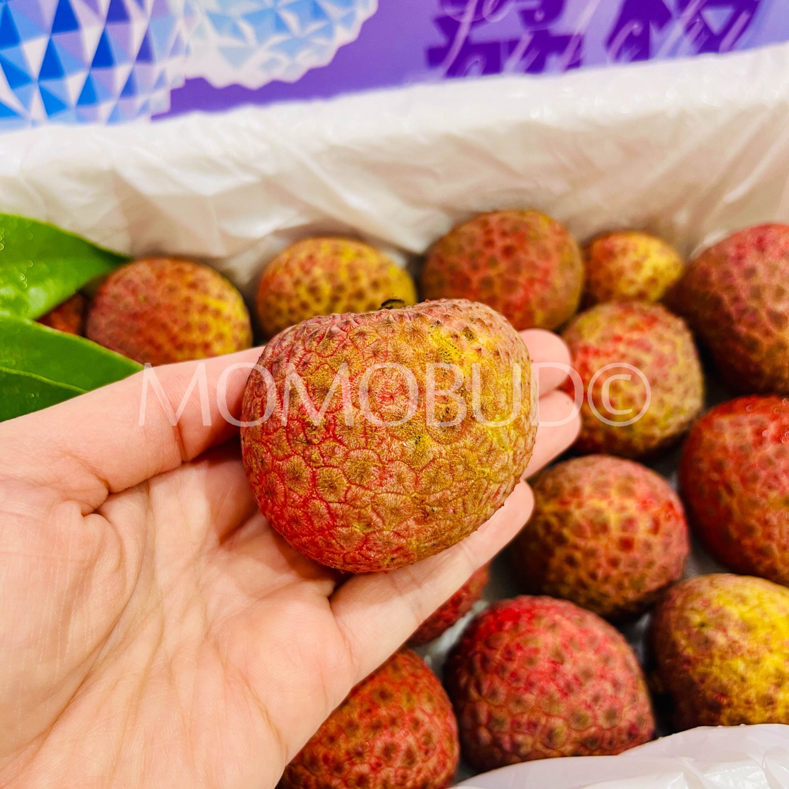 Airflown Premium China Little Dolphin Lychee King Box (1.3kg approx) - Image 3