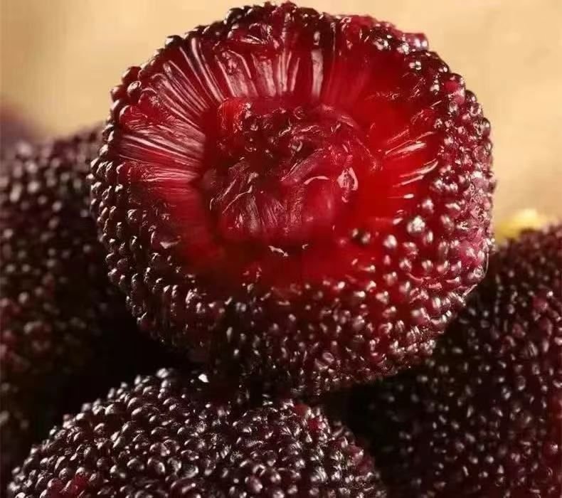 Airflown Yunnan Chinese Bayberry (220g pack) - Image 11