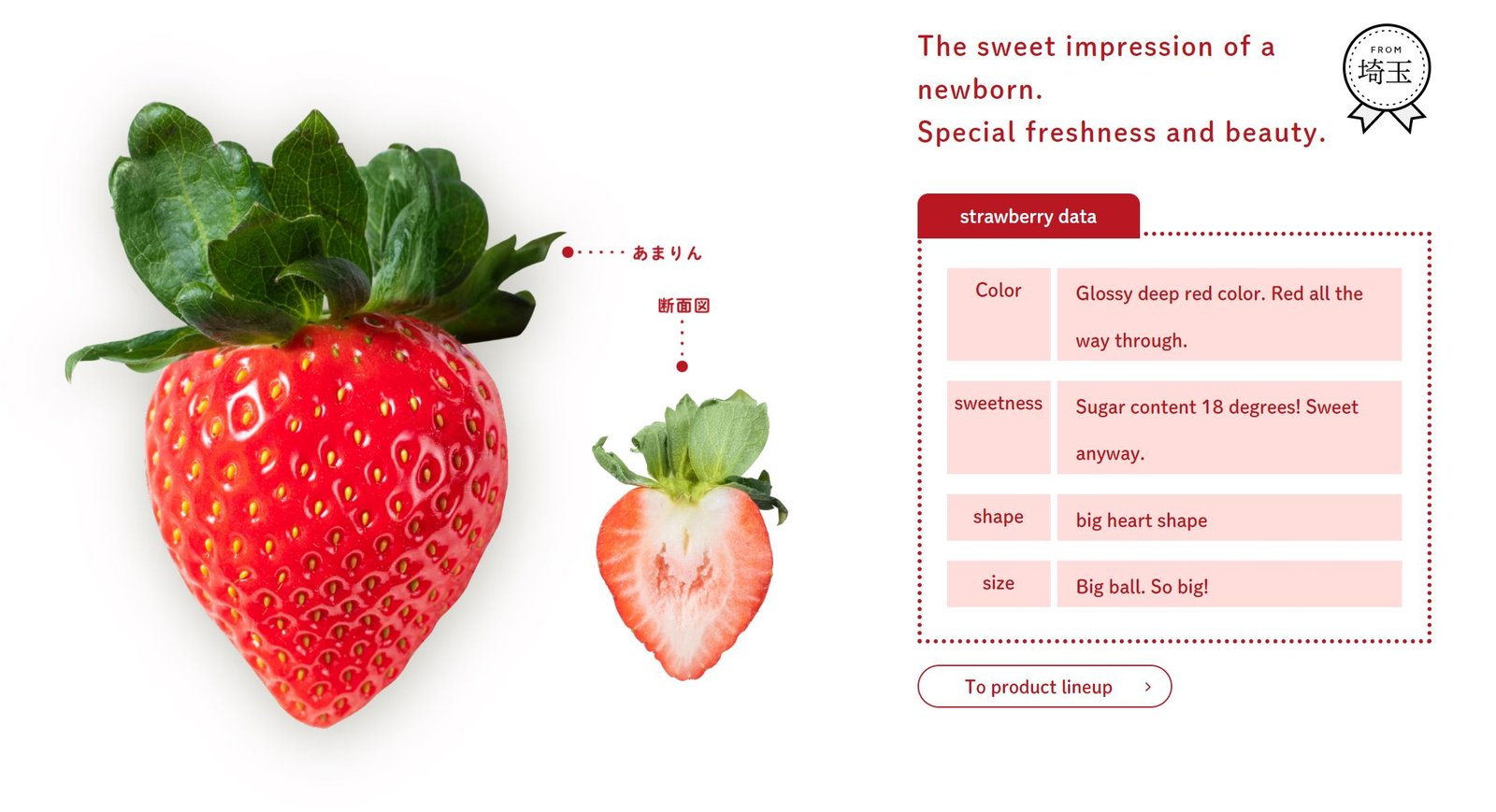 *High Sweetness* Japanese Saitama Amarin Ichigo (Strawberry, 170g pack) - Image 9