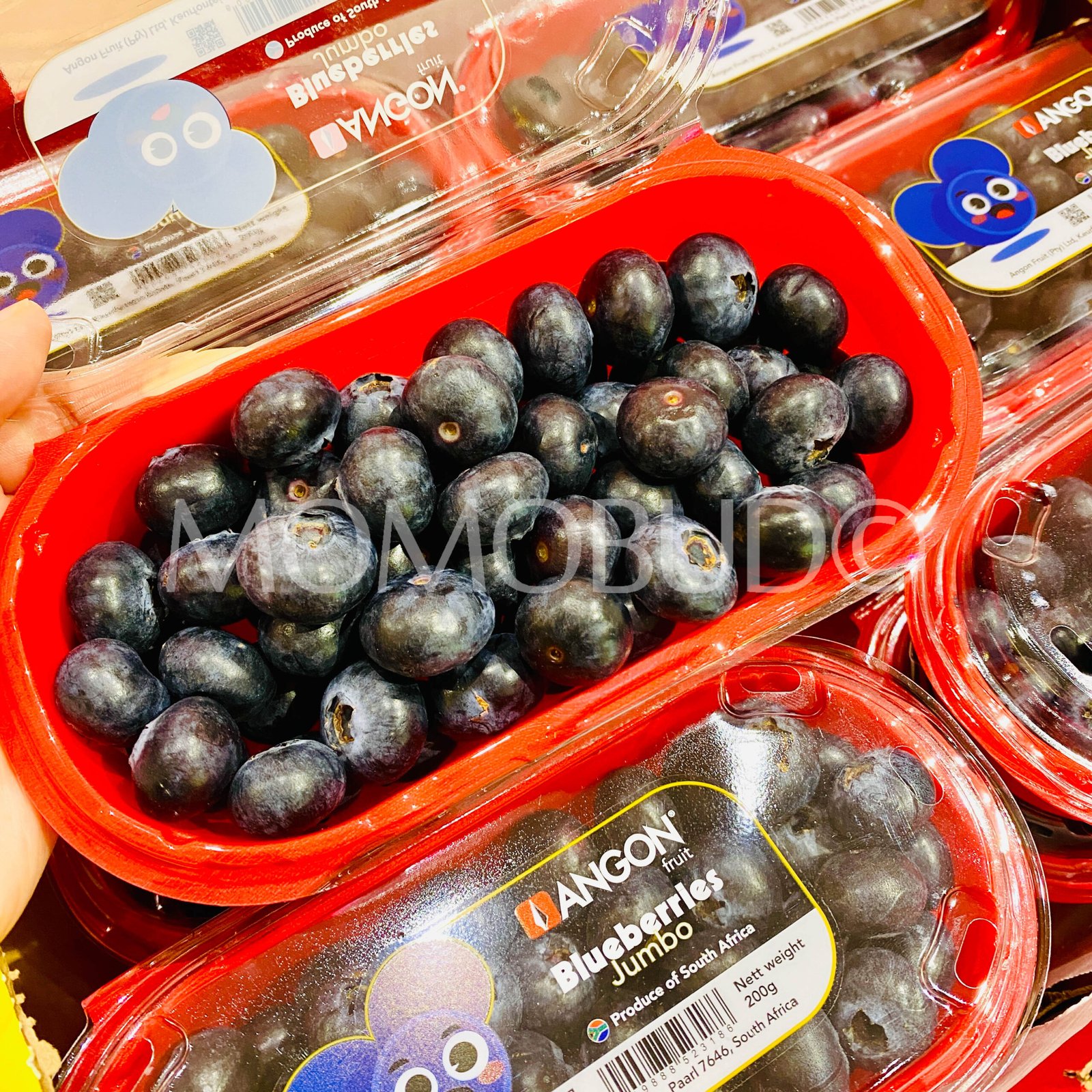 Angon® Jumbo Blueberry (200g punnet) - Image 2