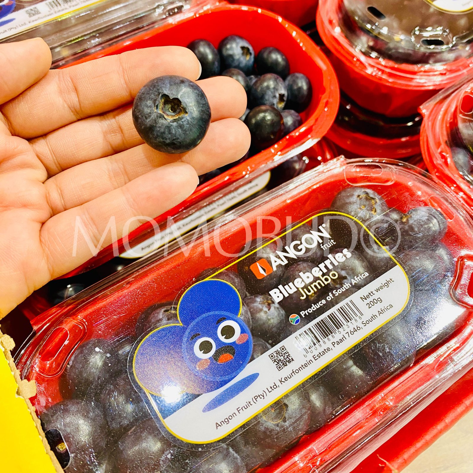 Angon® Jumbo Blueberry (200g punnet) - Image 3