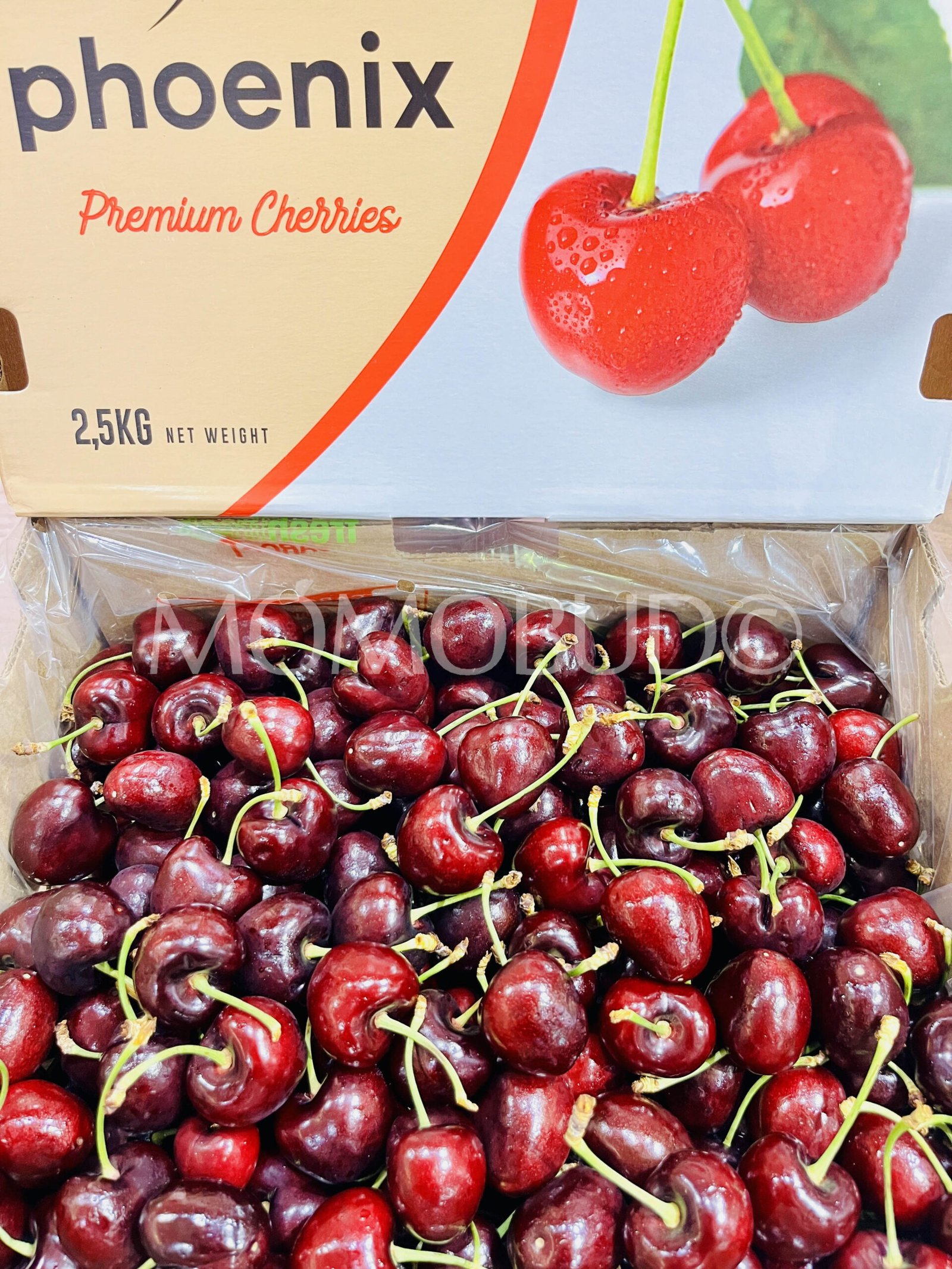 Argentina Phoenix Santina Red Cherry - Image 2