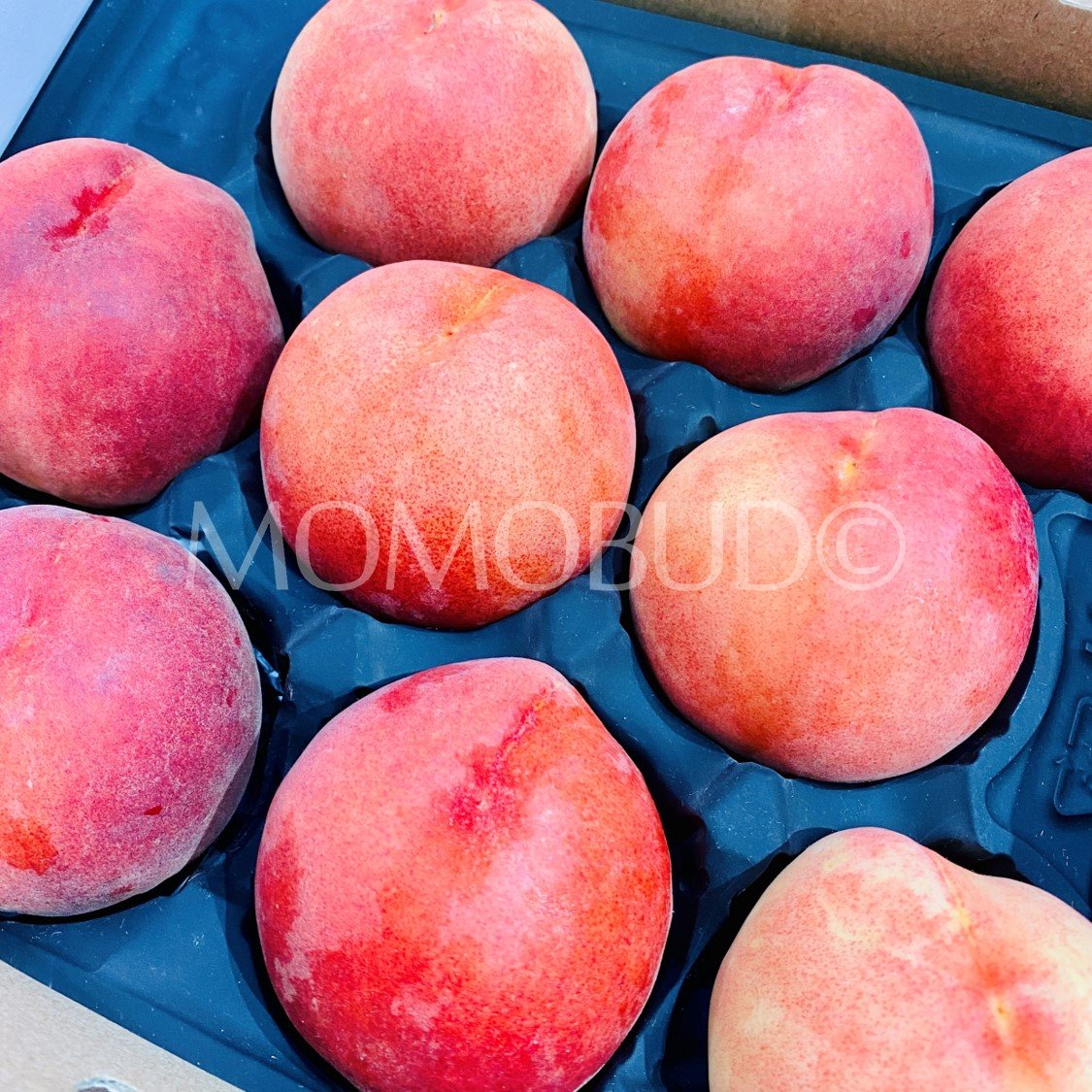 Prima Fresh Premium White Peach Gift Box (2kg) - Image 2