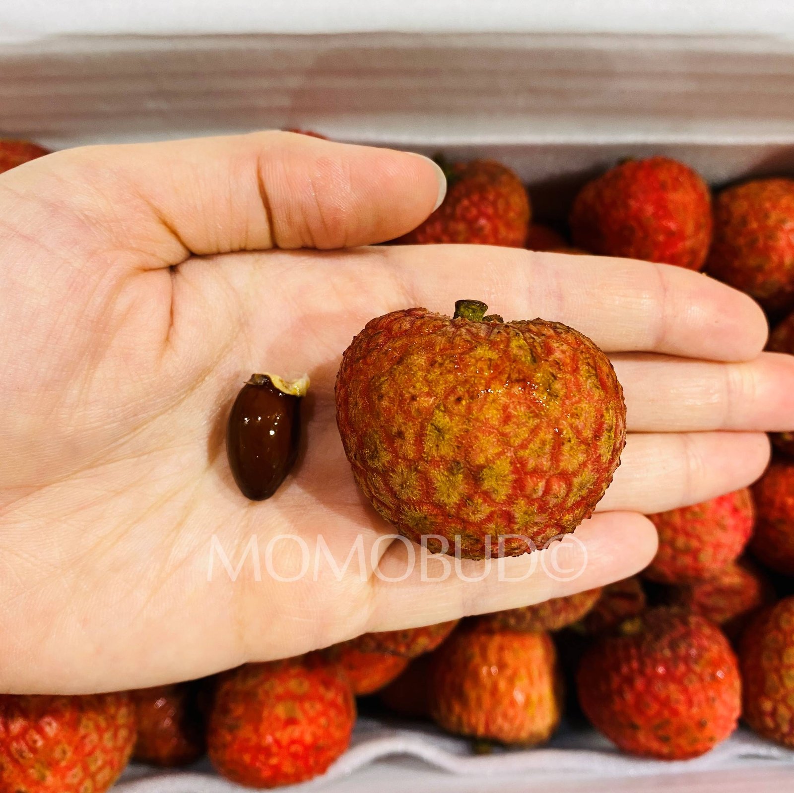 Australian Baitangying Lychee Gift Box (2kg) - Image 4