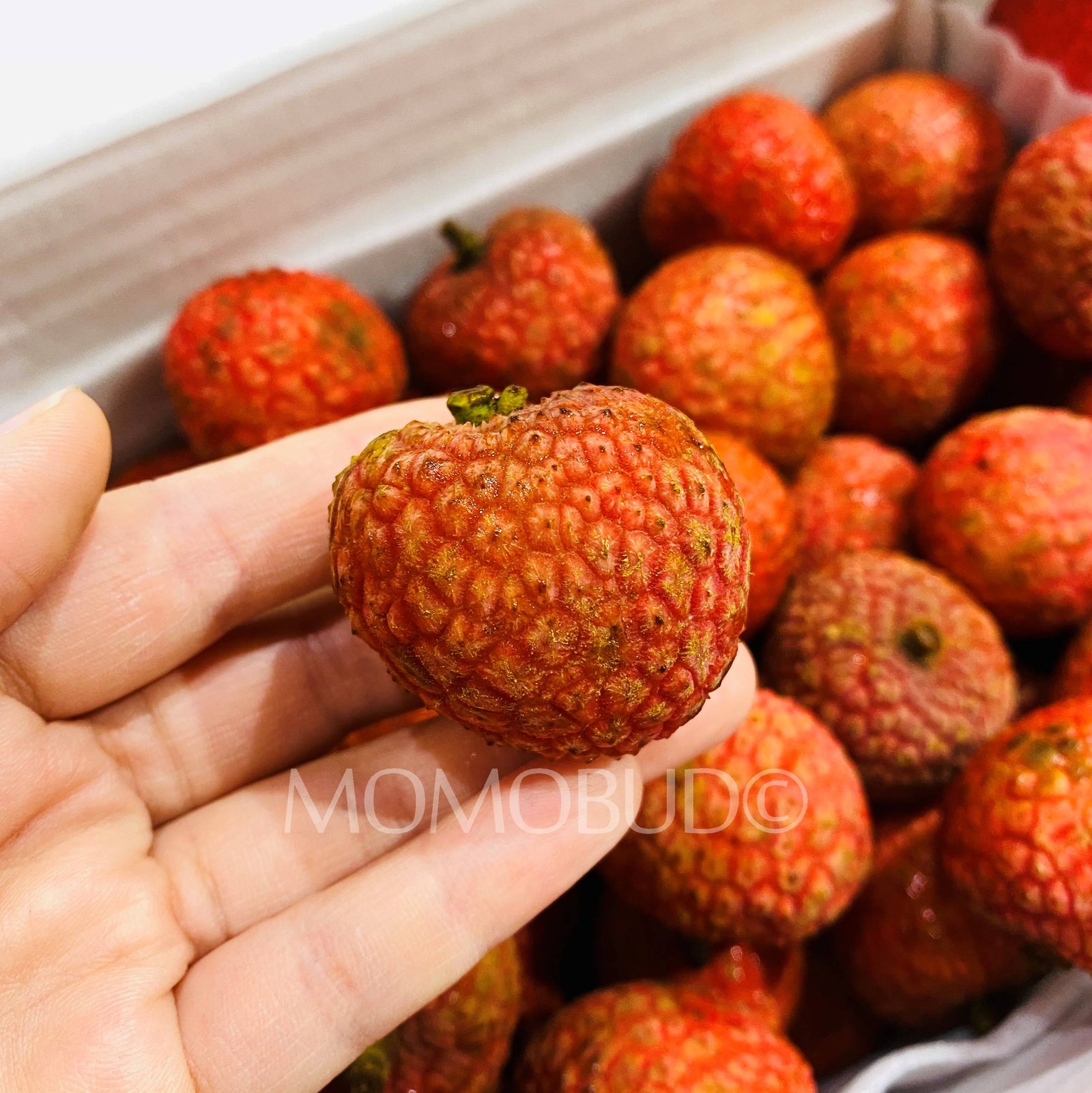 Australian Baitangying Lychee Gift Box (2kg) - Image 2