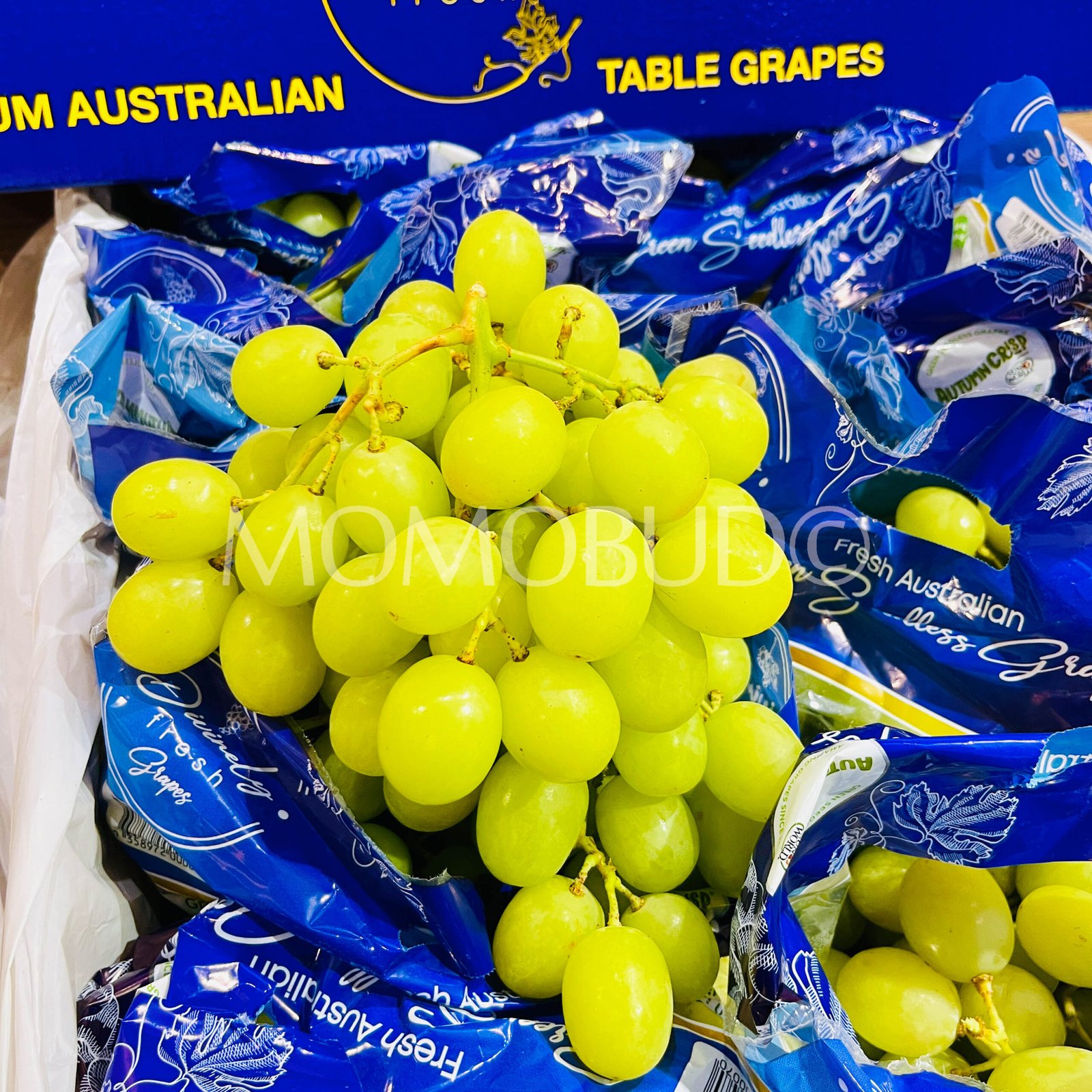 Autumn Crisp® Green Seedless Grapes (1kg) - Image 2