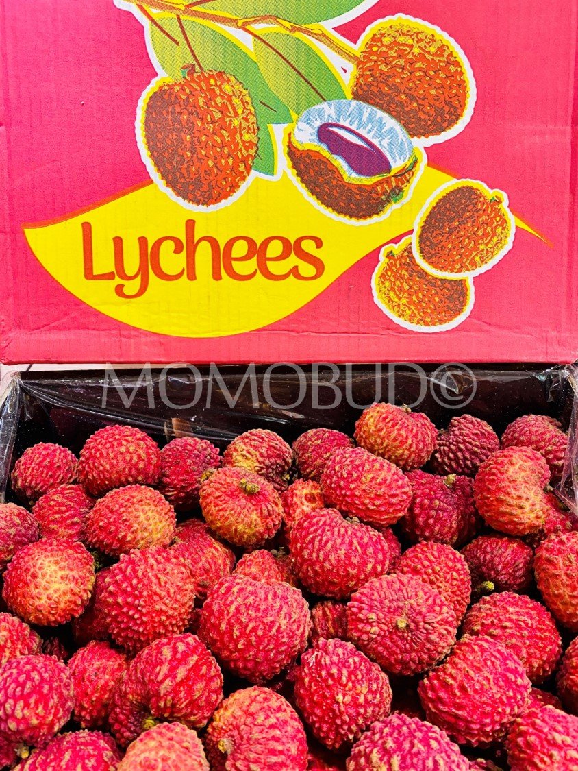 Australian Erdon Lee Lychee - Image 2