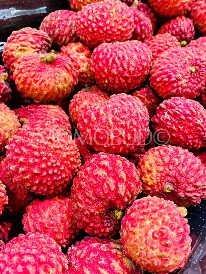 Australian Erdon Lee Lychee - Image 3
