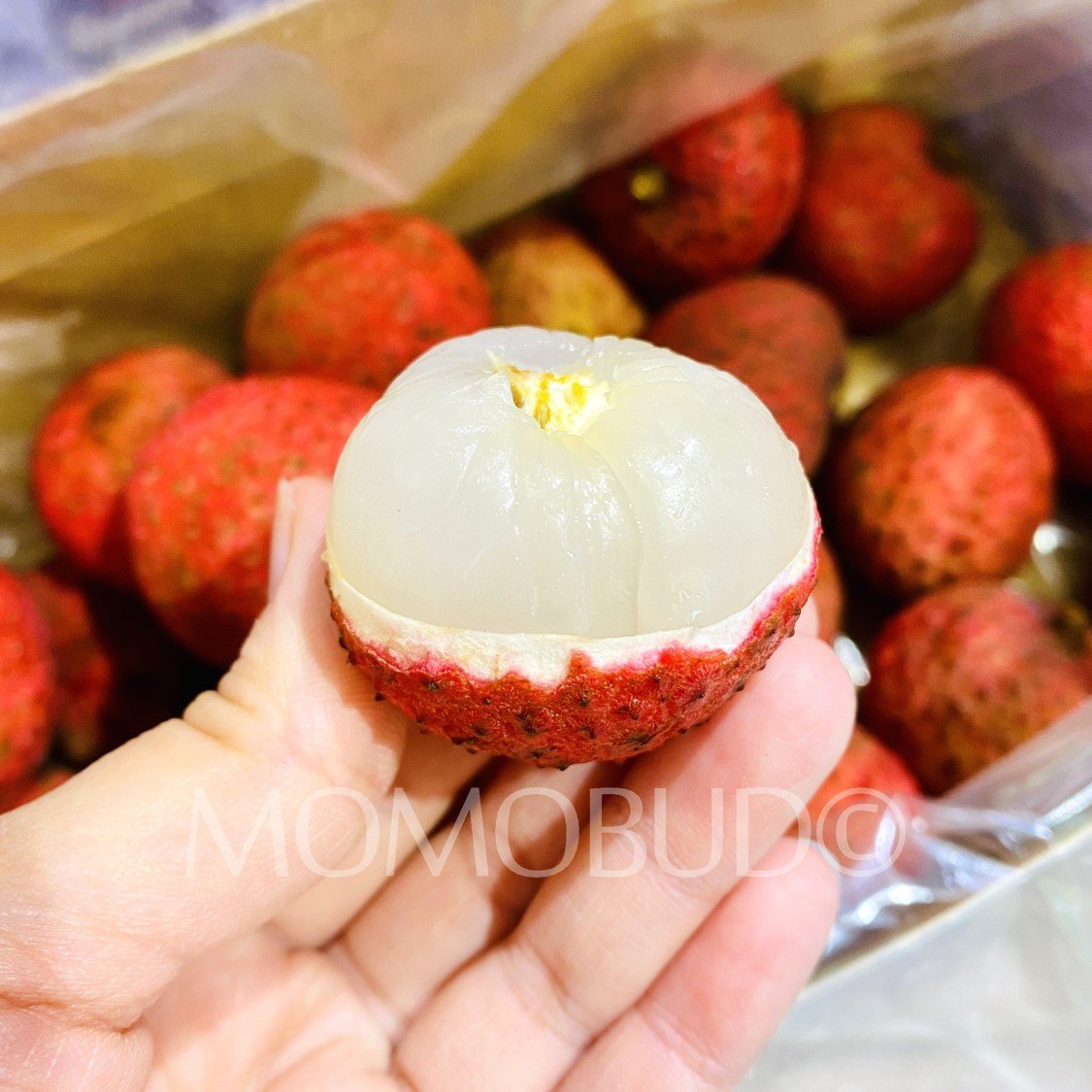 Australian Kaimana Lychee Gift Box (1kg) - Image 4