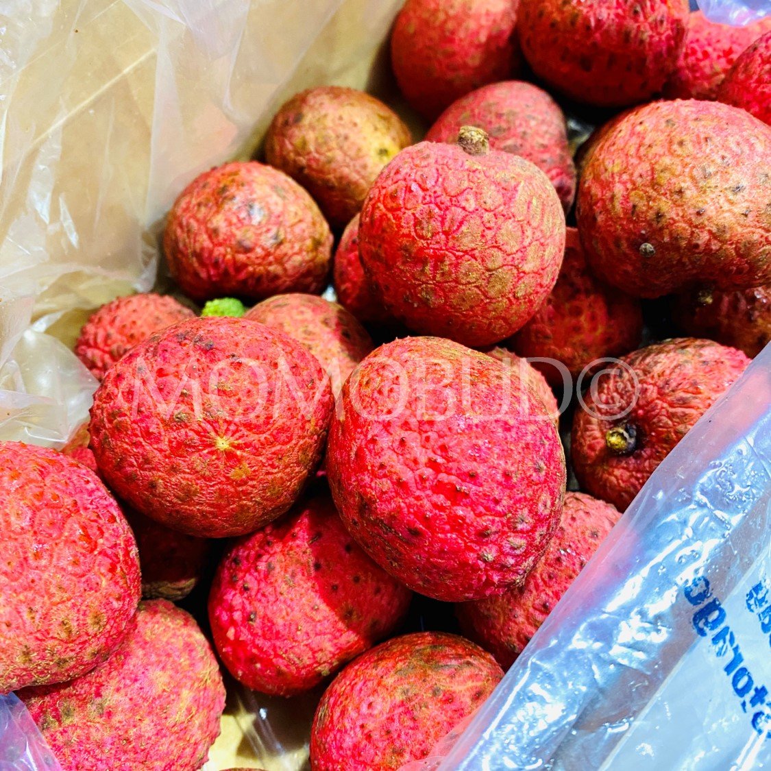 Australian Kaimana Lychee Gift Box (1kg) - Image 2