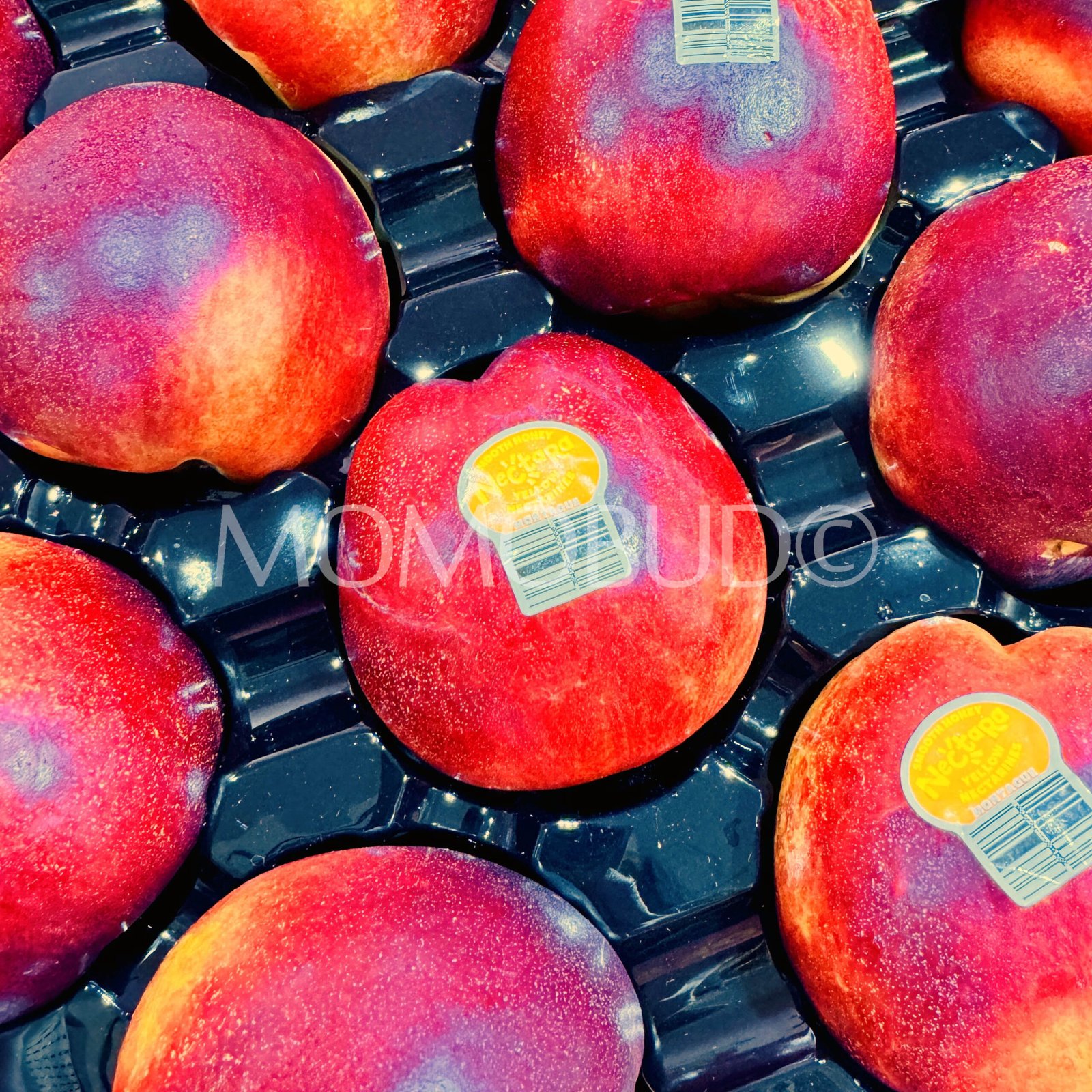 Nectara™ Smooth Honey Yellow Nectarine (Small-Plus) - Image 2