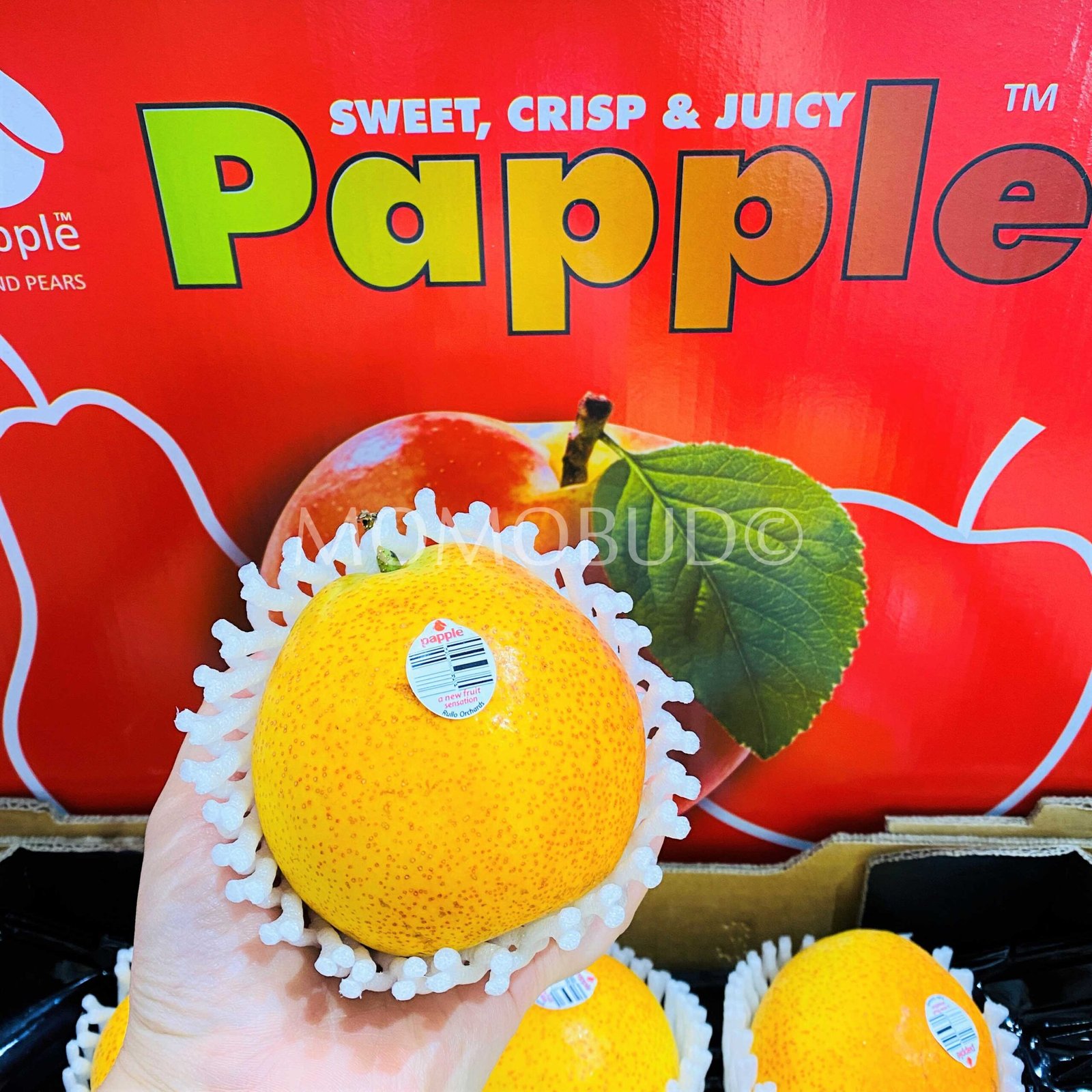 Papple™ Pear - Image 3