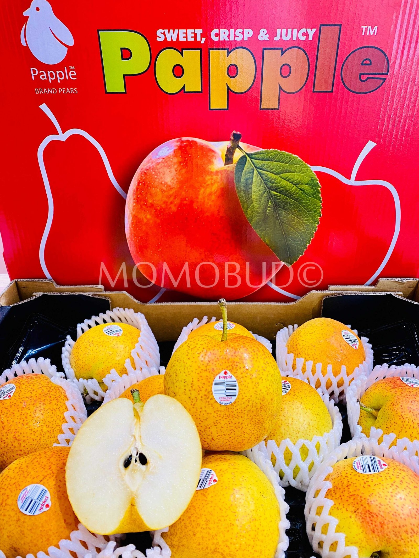 Papple™ Pear - Image 4