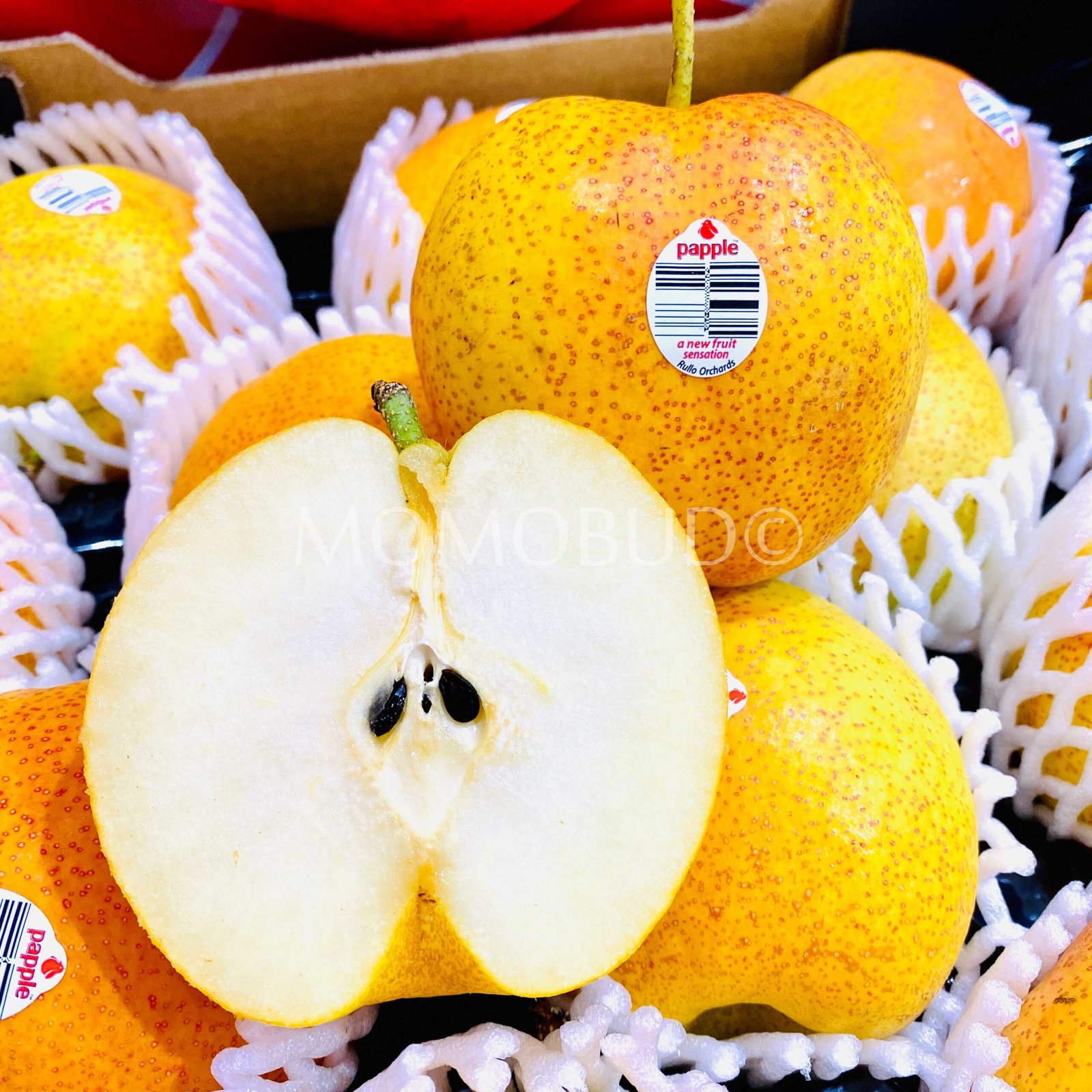 Papple™ Pear - Image 2