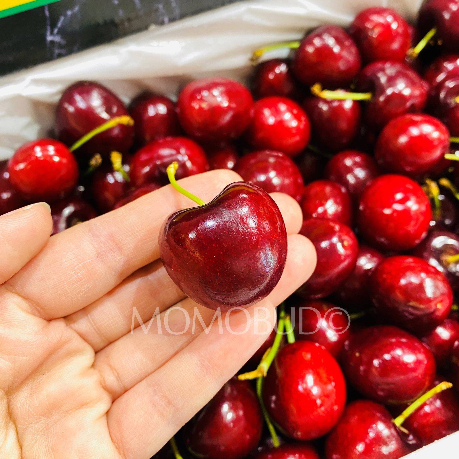 Australian Simone Red Cherry Gift Box (2kg) - Image 2