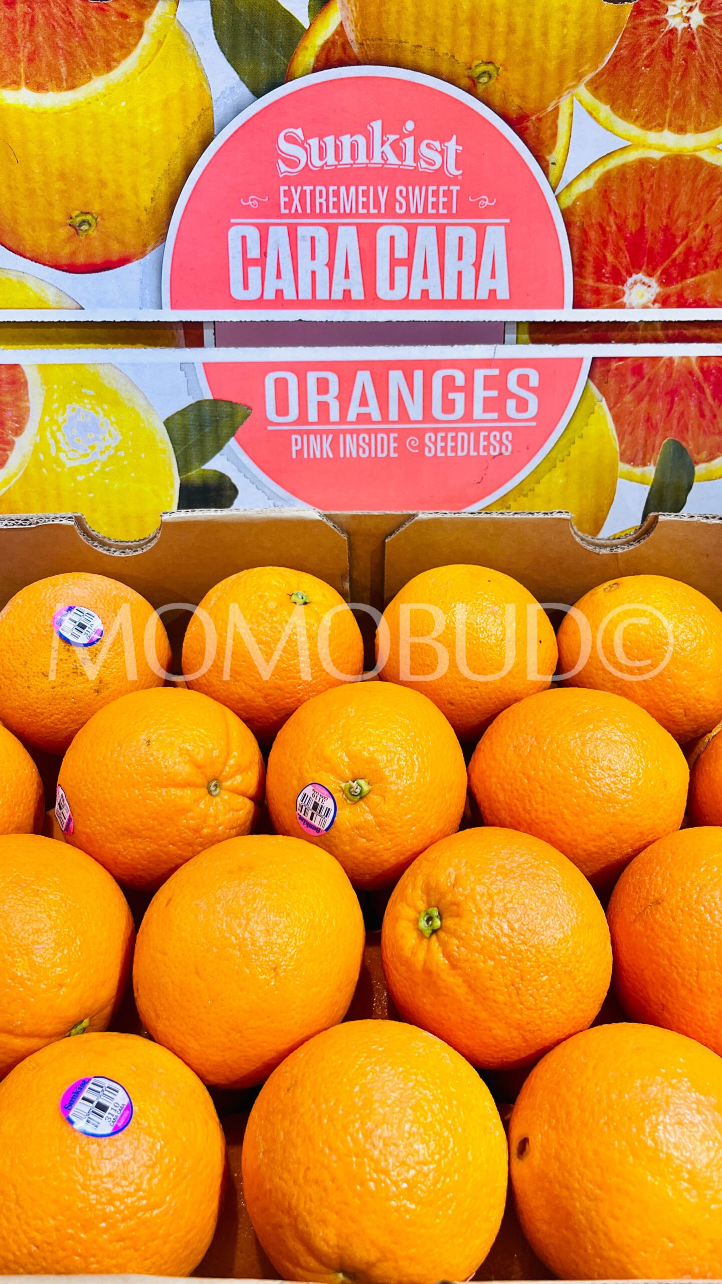 Sunkist Cara Cara Orange (Medium-Plus, 5pcs) - Image 2