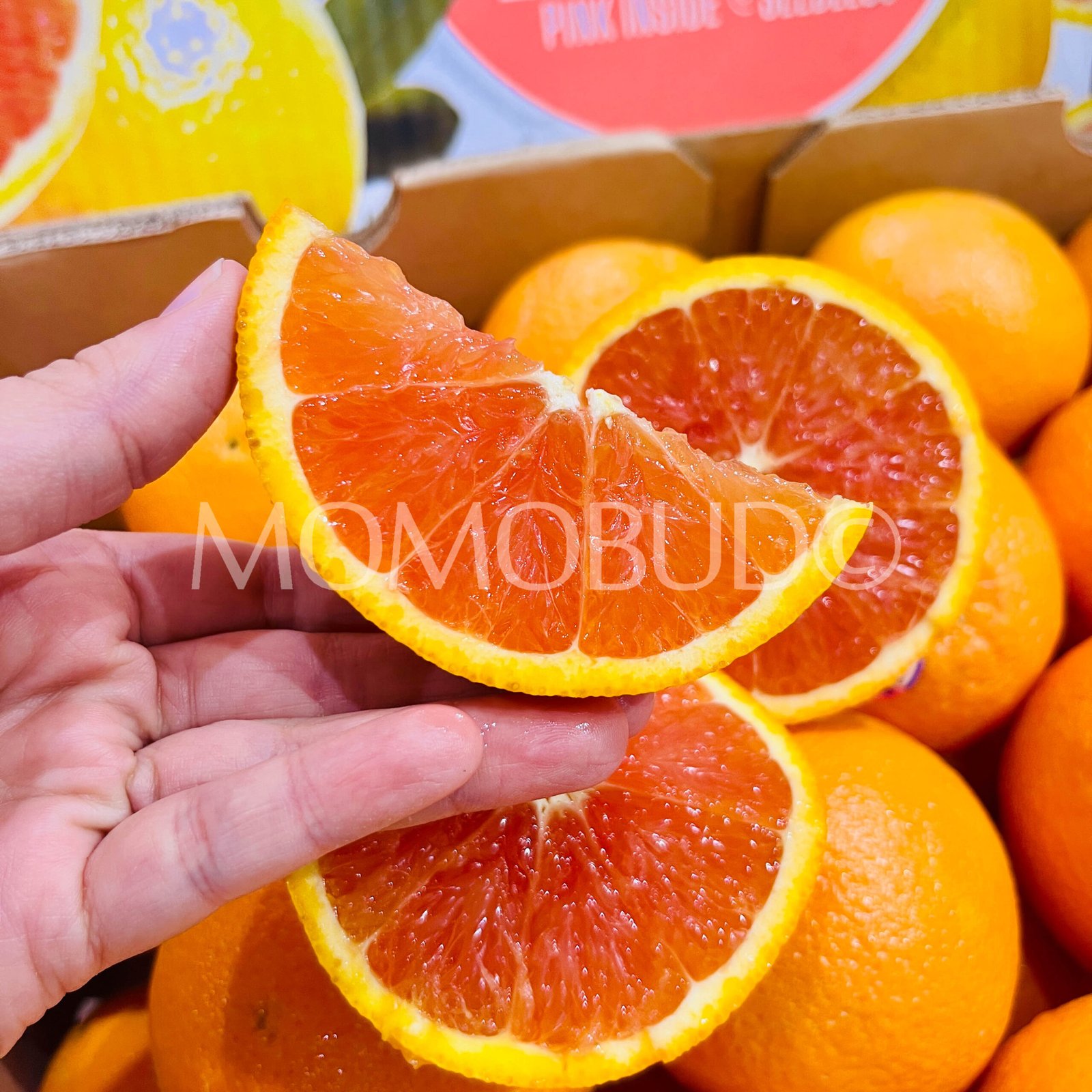 Sunkist Cara Cara Orange (Medium-Plus, 5pcs) - Image 5