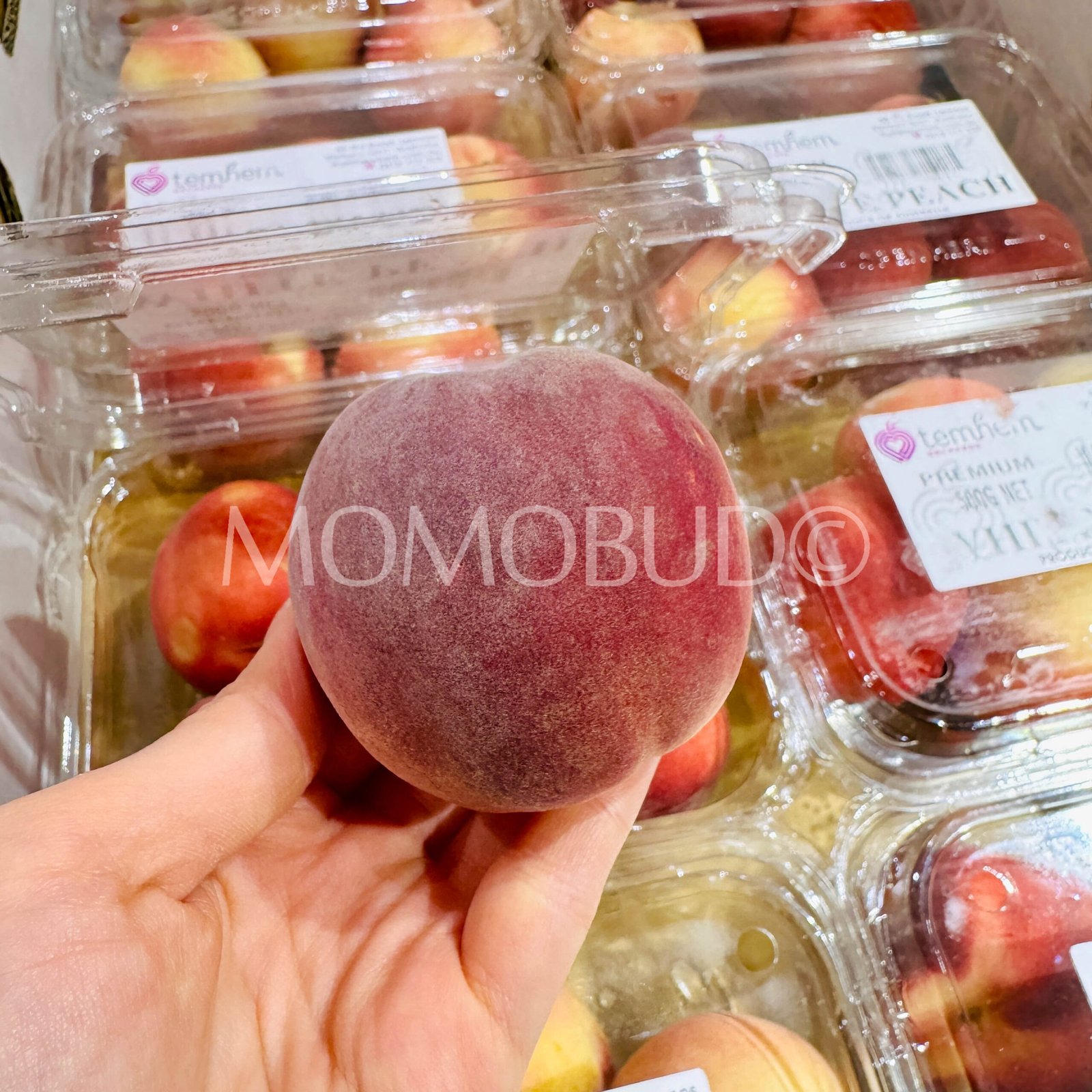 Temhem Orchards White Peach (500g punnet, 5pcs) - Image 4