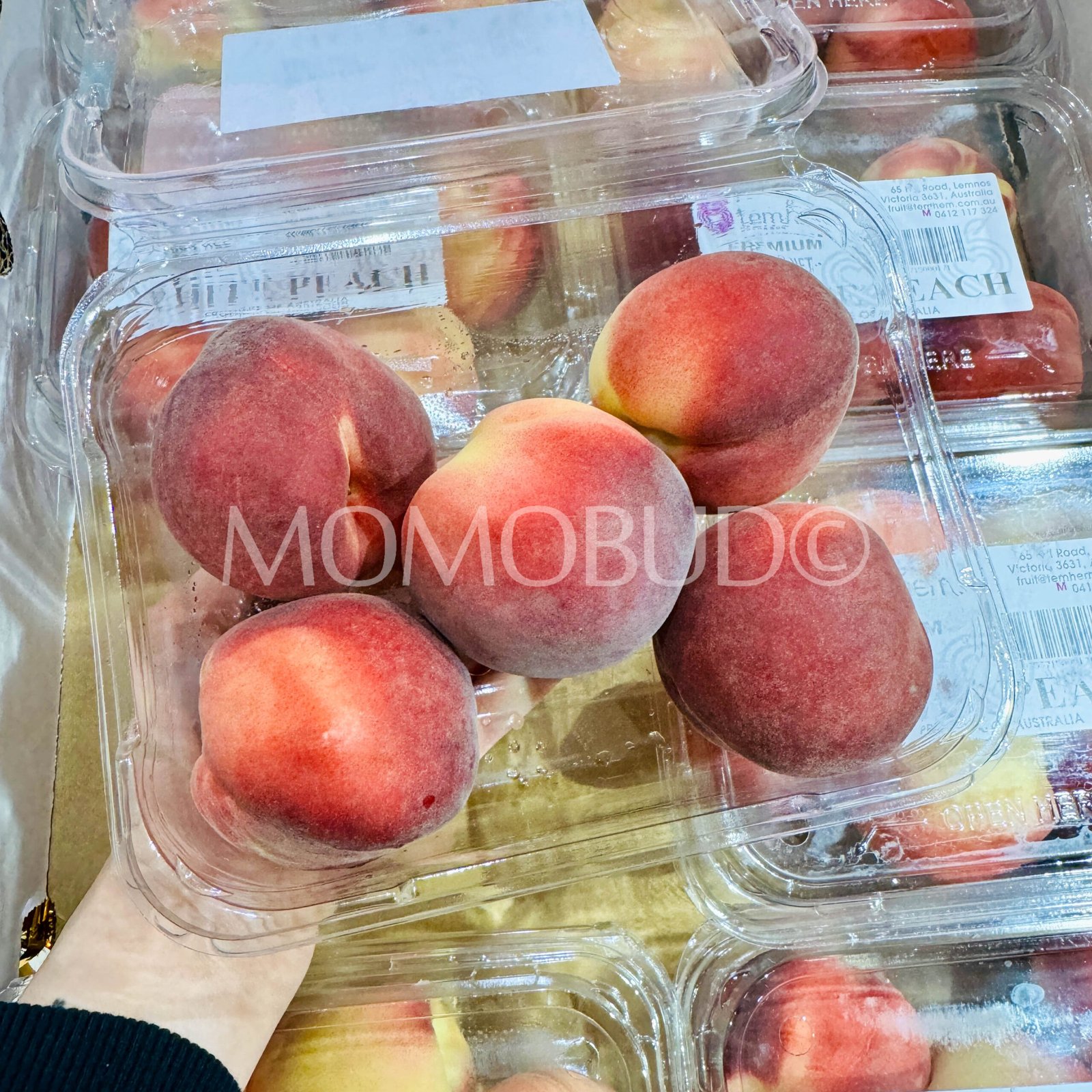Temhem Orchards White Peach (500g punnet, 5pcs) - Image 3
