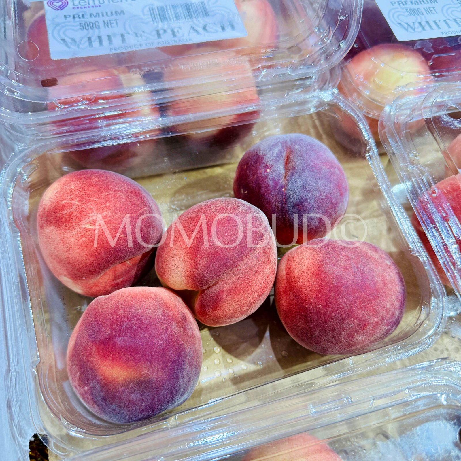 Temhem Orchards White Peach (500g punnet, 5pcs) - Image 2