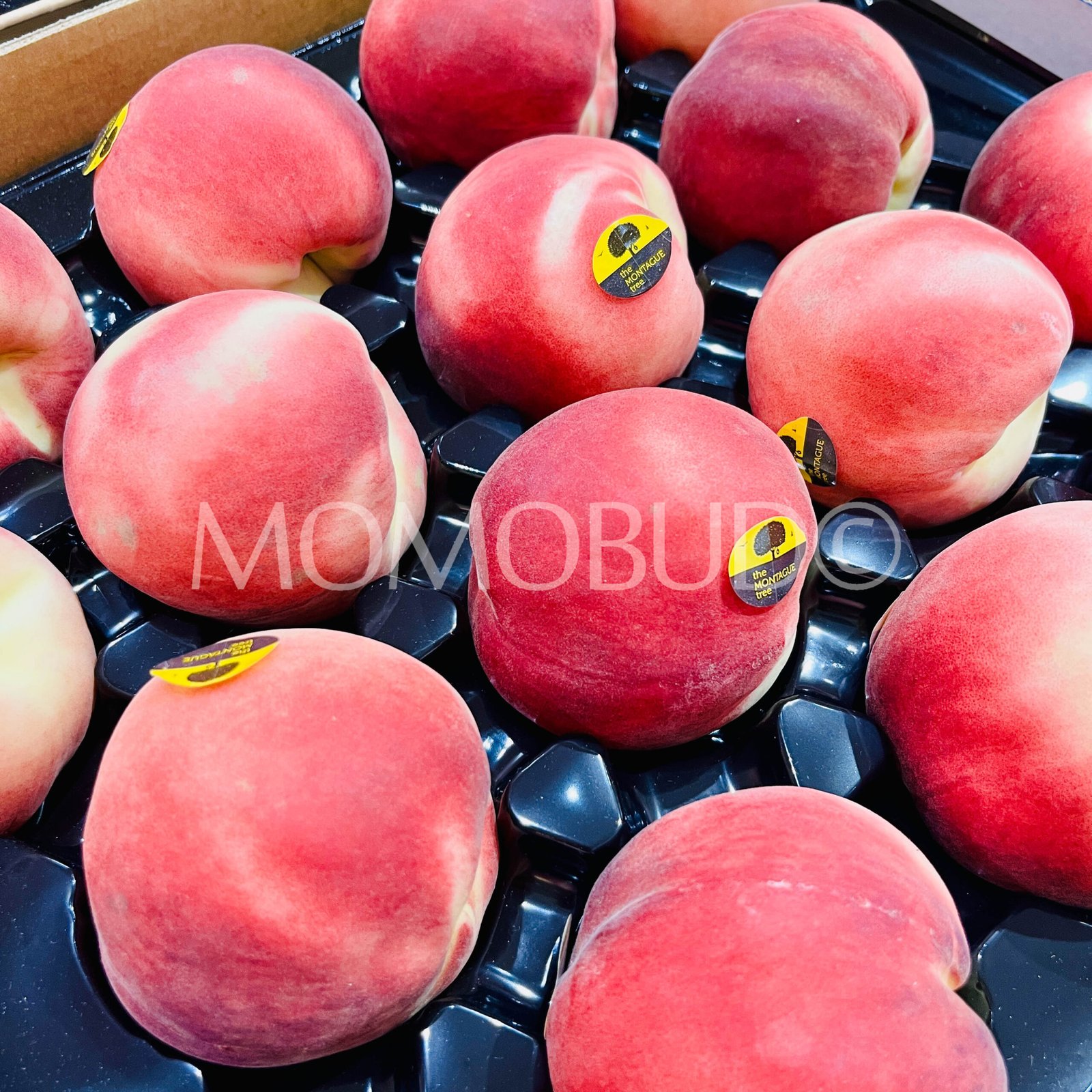 The Montague Tree™ Snow Flame White Peach (Medium-Plus) - Image 3