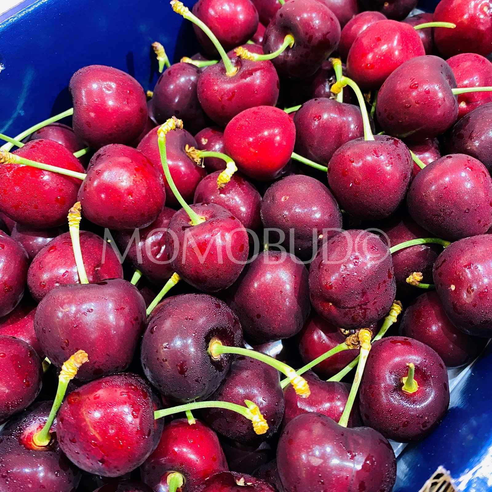 Valley Fresh Regina Red Cherry Gift Box (2kg) - Image 2